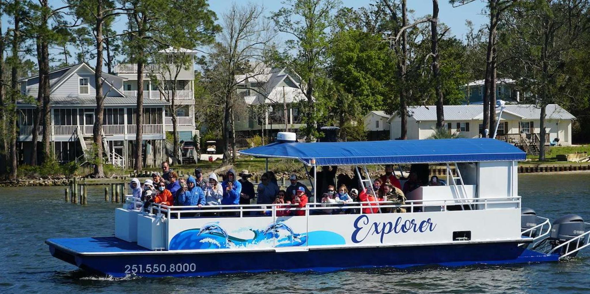 Orange Beach Dolphin-Watching Eco-Boat Tour 1.5 hr