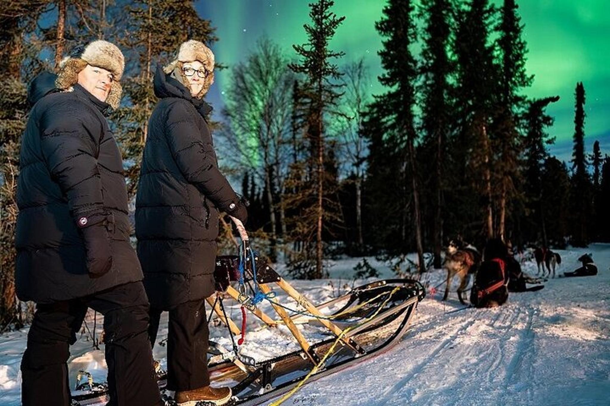 Fairbanks Dog Sledding and Northern Lights Combo - Image 4