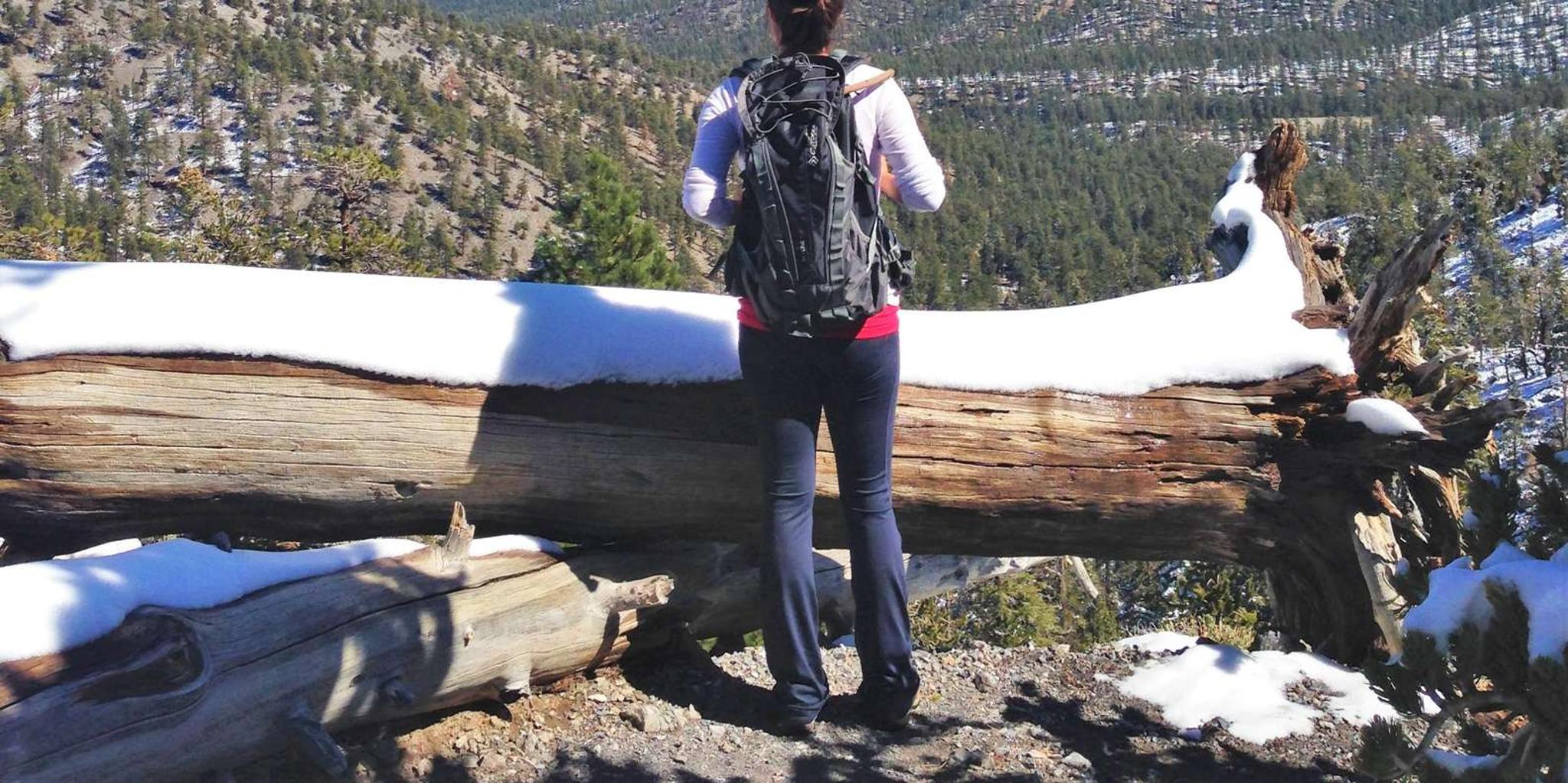 Las Vegas Mount Charleston Driving Adventure - Image 3