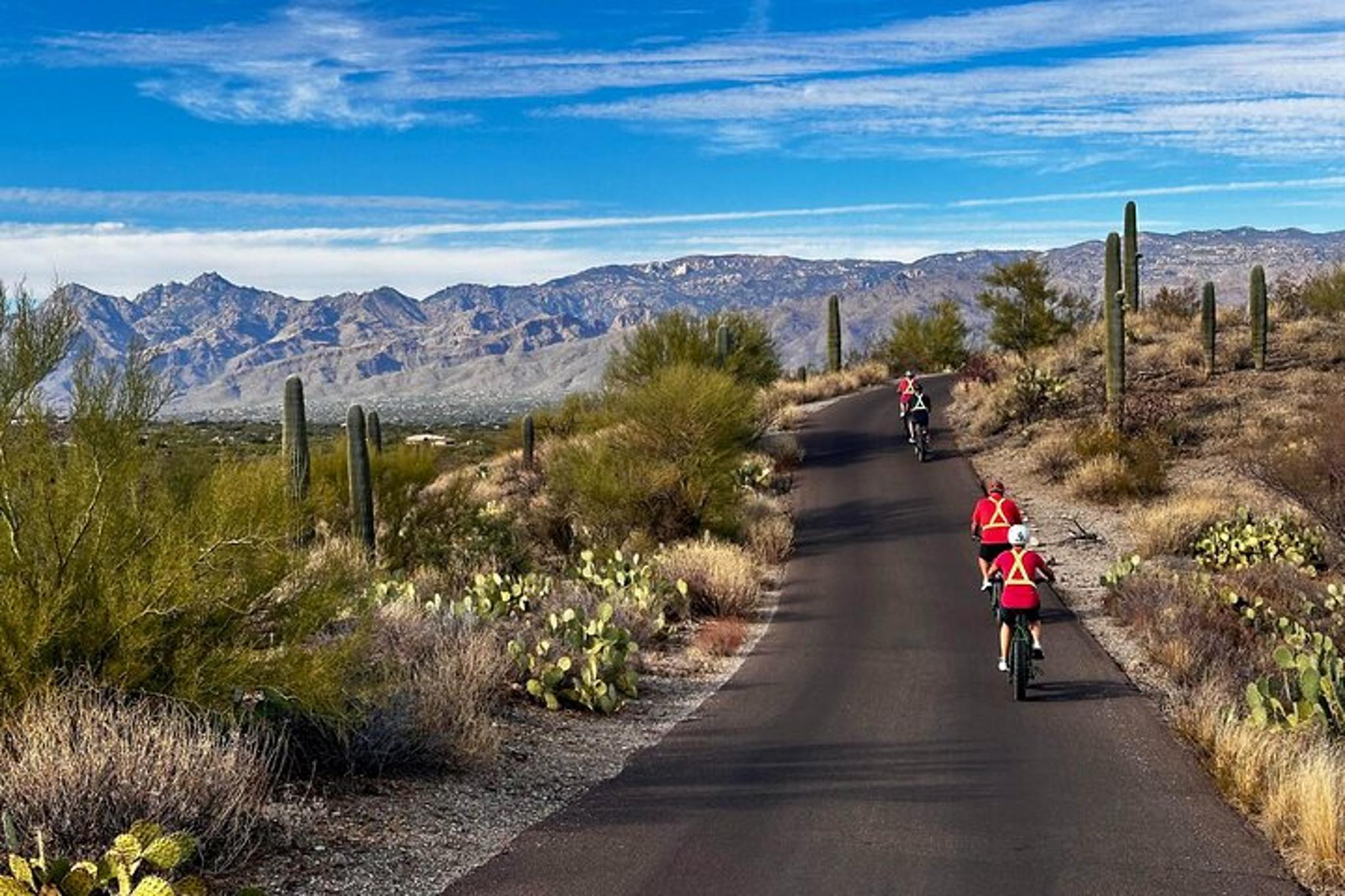 Tucson E-Bike Tour at Sunset in Saguaro National Park - Image 3