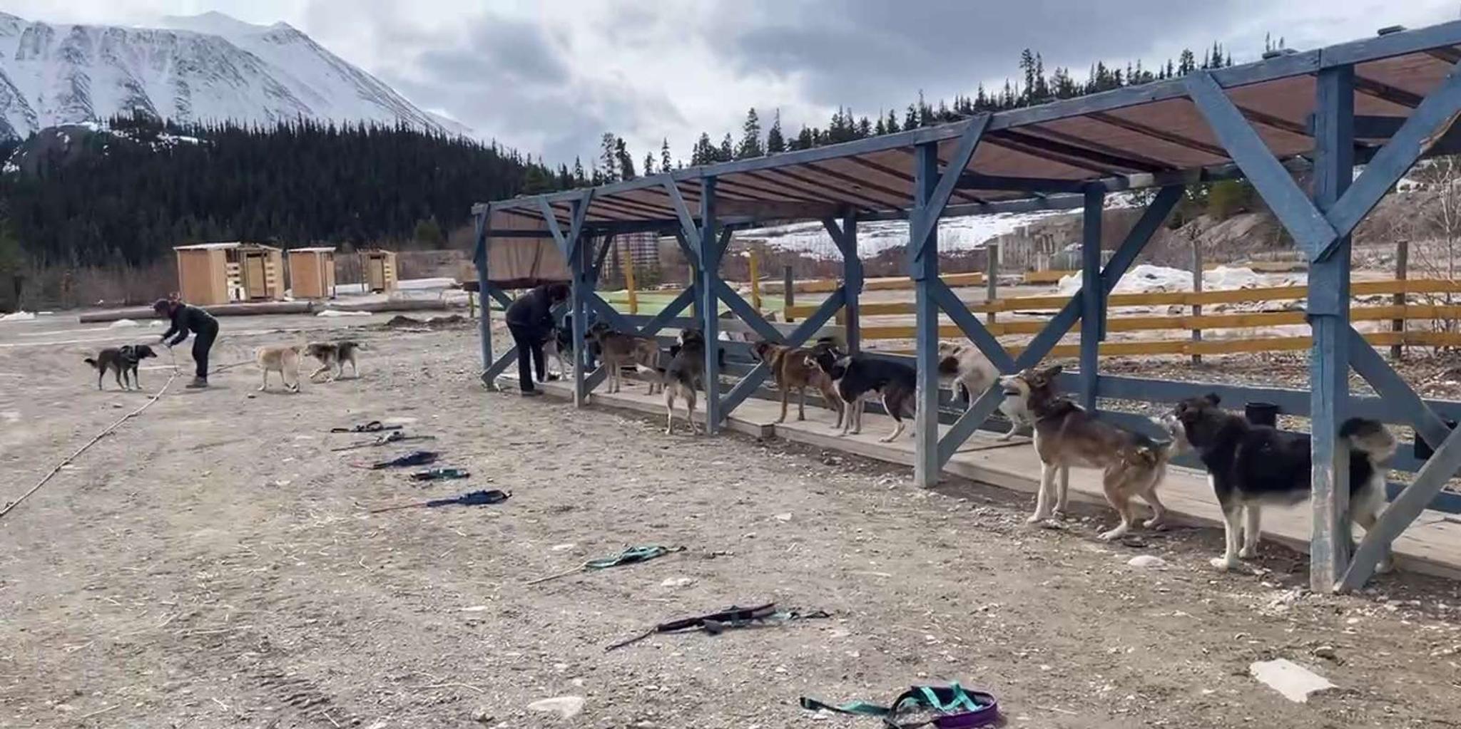 Skagway Yukon Suspension Bridge Tour 3.5 hr - Image 3