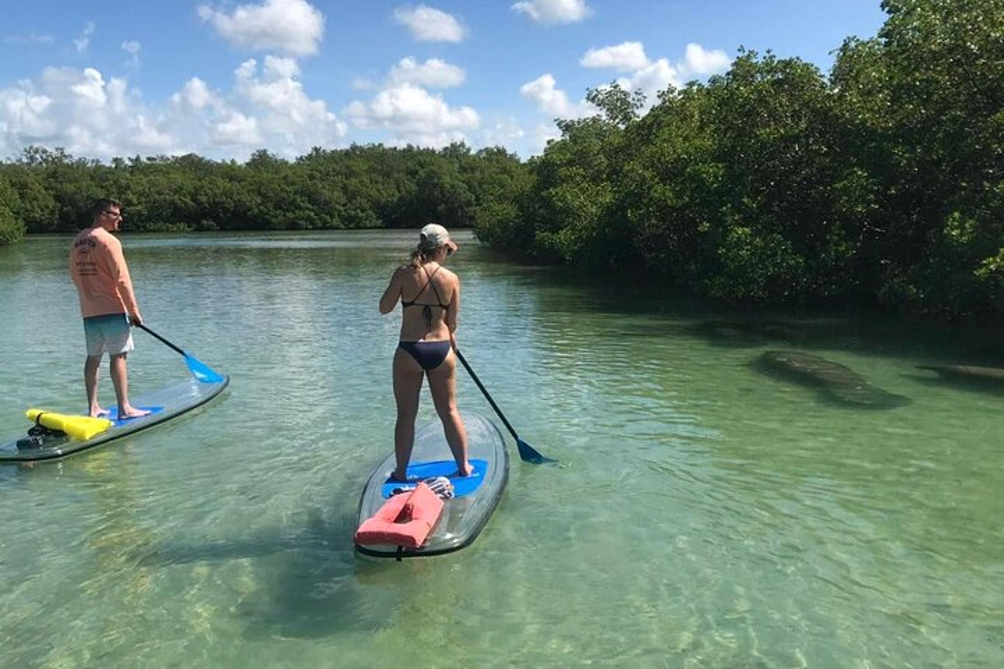 Bonita Springs Self-Guided Kayak and SUP Tour - Image 3