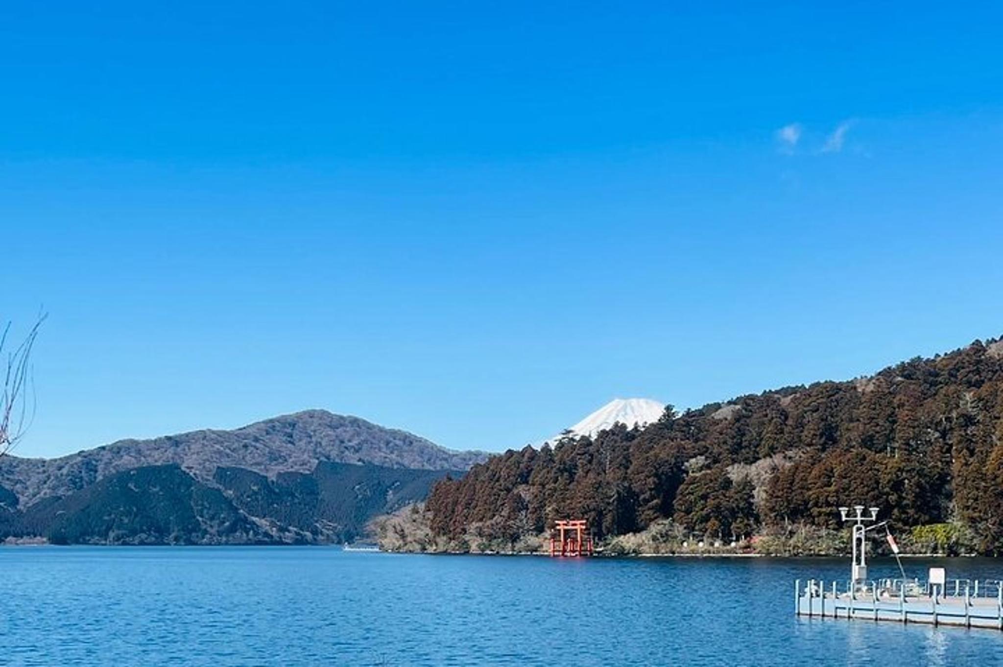 Tokyo Mount Fuji & Hakone Private Tour - Image 2