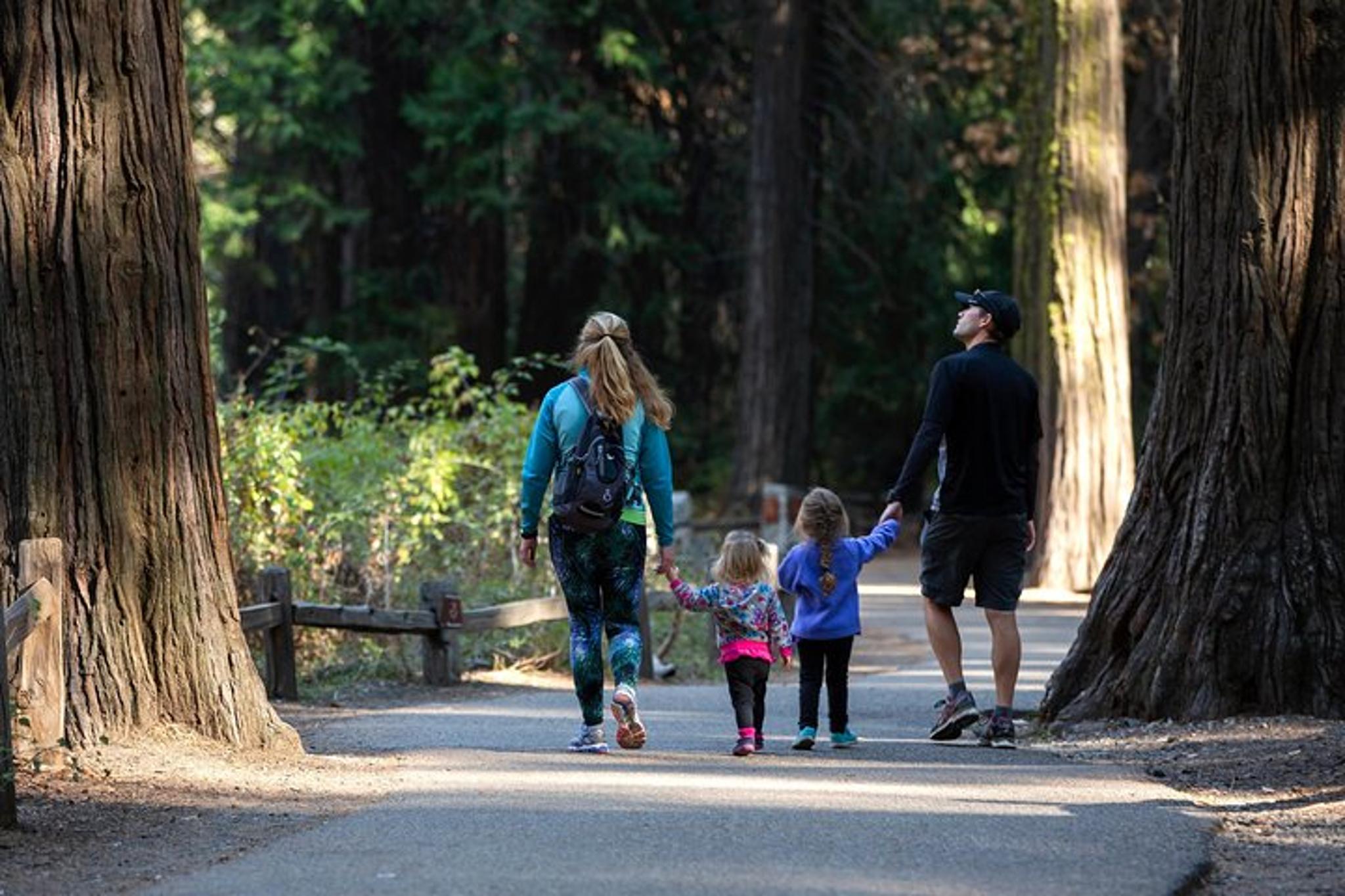 San Francisco Yosemite Highlights & Giant Sequoias Day Tour - Image 4