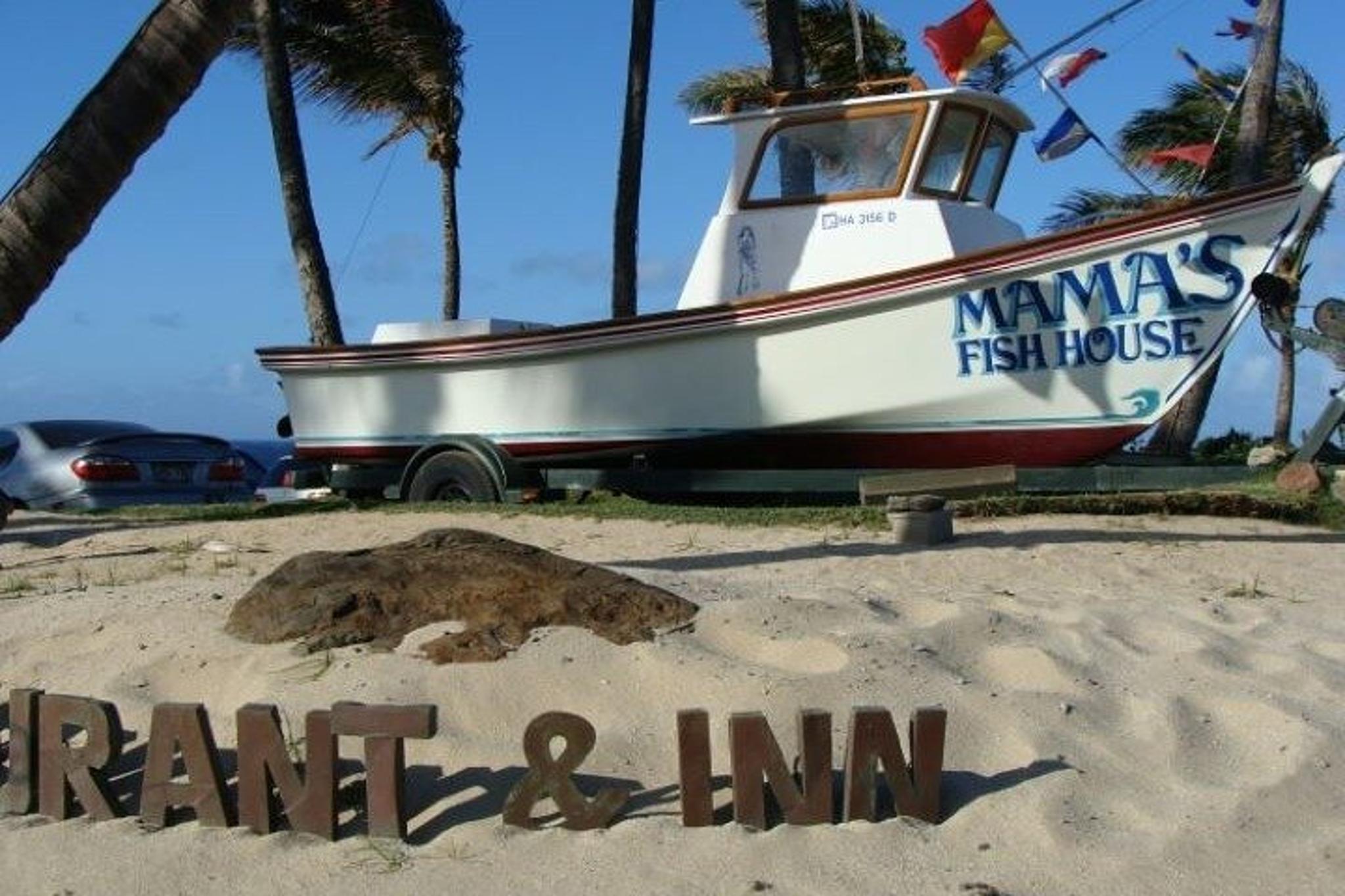 Maui Sightseeing Tour - Image 5