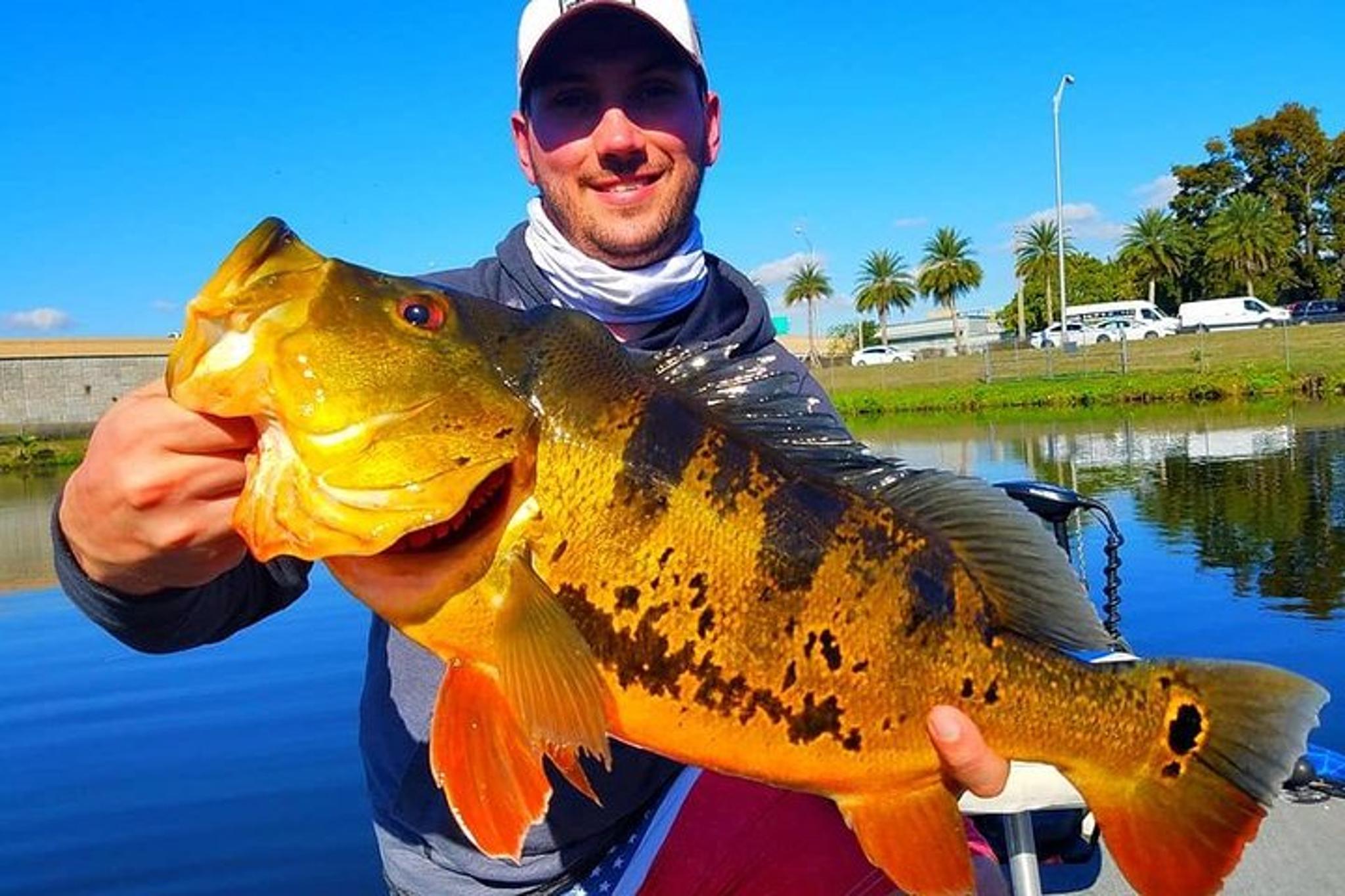 Boynton Beach Peacock Bass Fishing Trip - Image 4