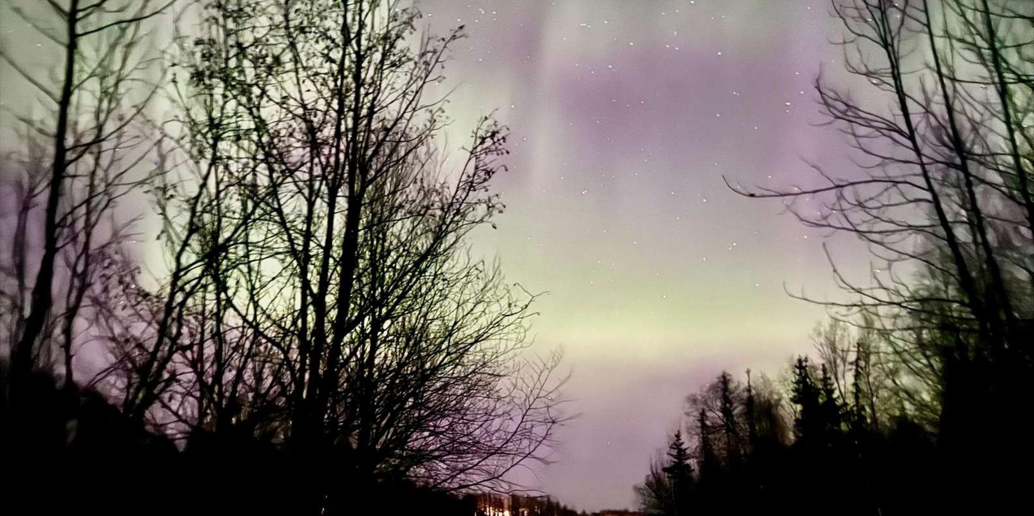 Anchorage Northern Lights Snowshoe Adventure - Image 4