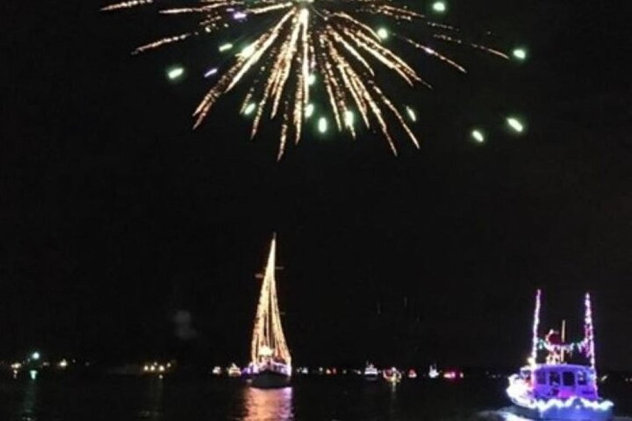Laguna Madre Bay Dolphin Watch and Fireworks Cruise - Image 6