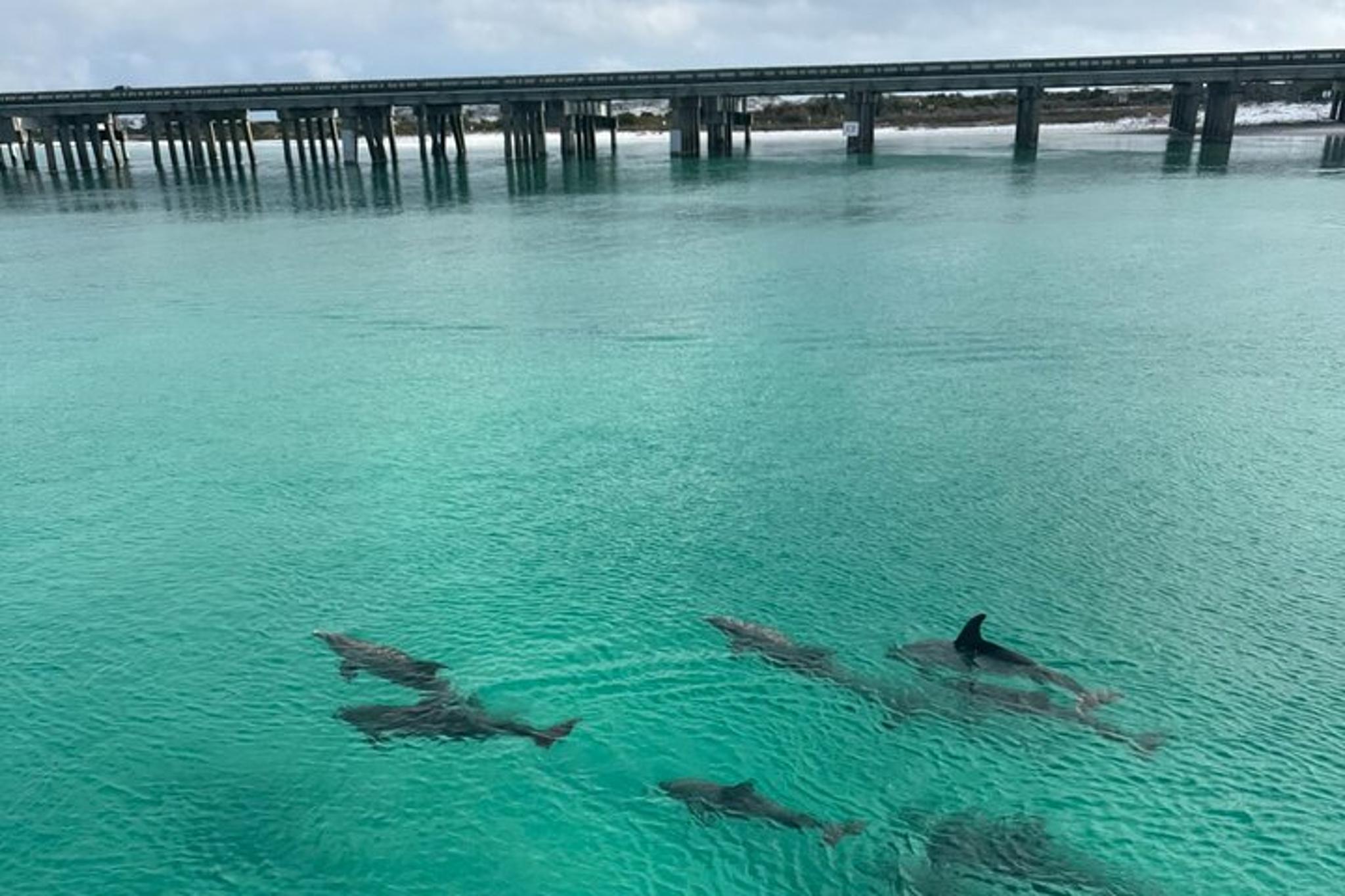 Destin Harbor Boat Tour - Image 3