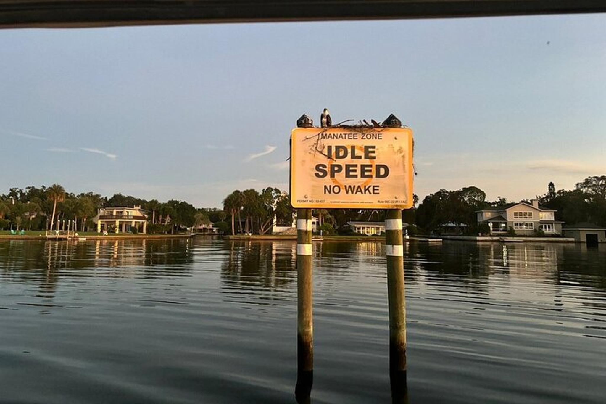 Crystal River Manatee Watching Cruise 90 min - Image 5