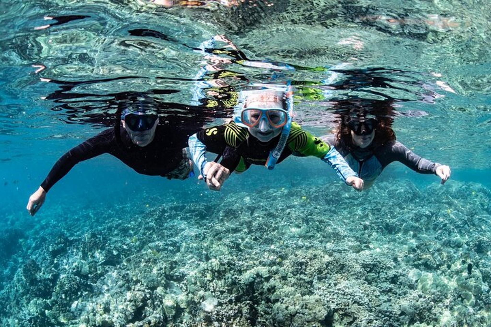 Kona Kealakekua Bay Snorkeling Adventure - Image 5