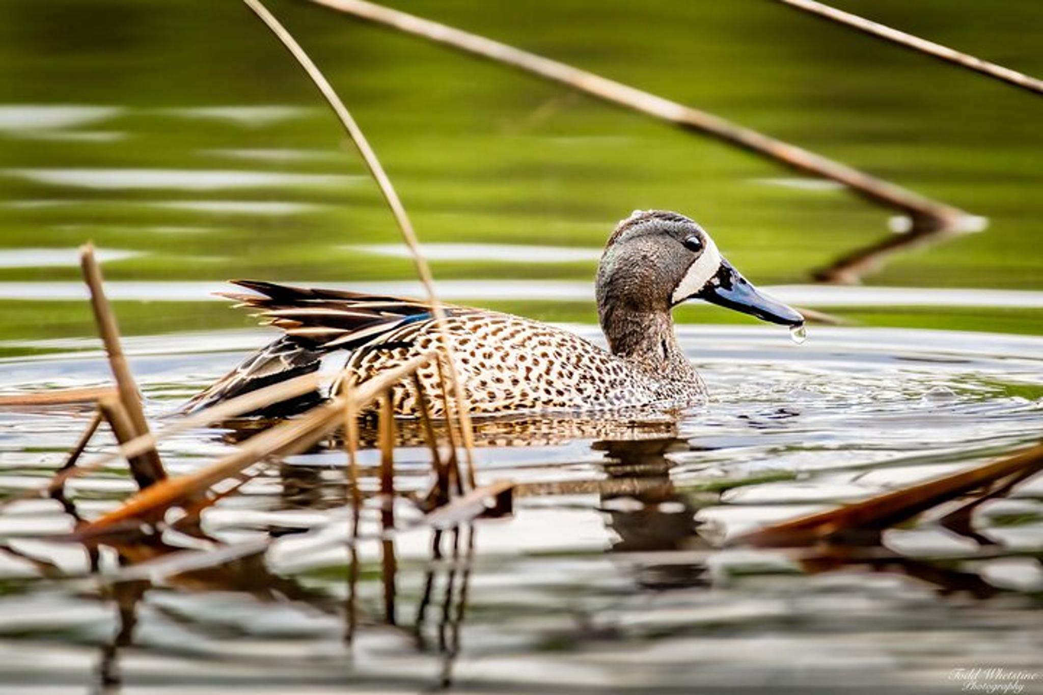 Fairbanks Photography Workshop - Image 4