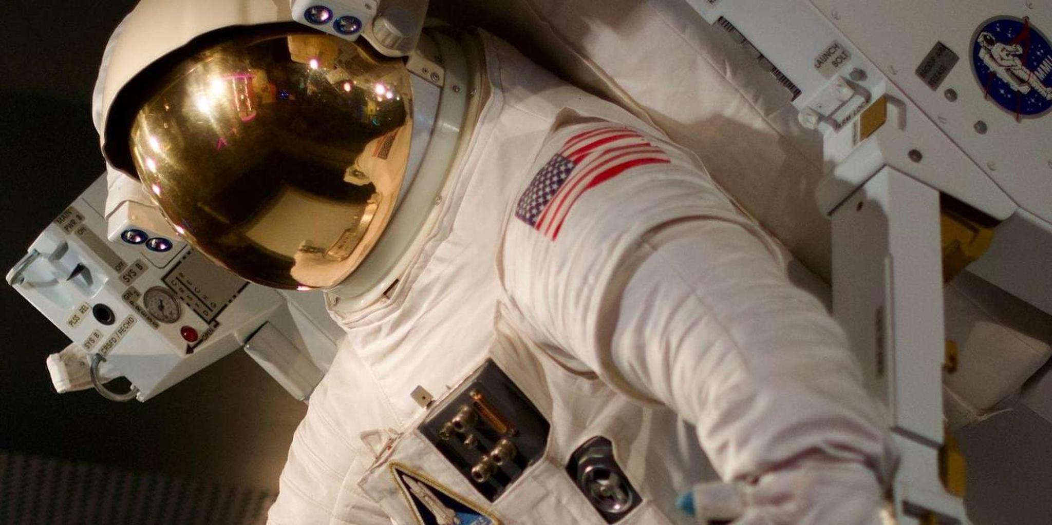 Denver Museum of Nature and Science Digital Tour - Image 3