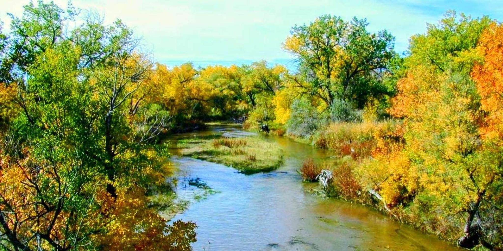 Denver E-Bike Tour of Platte River and Breweries - Image 2