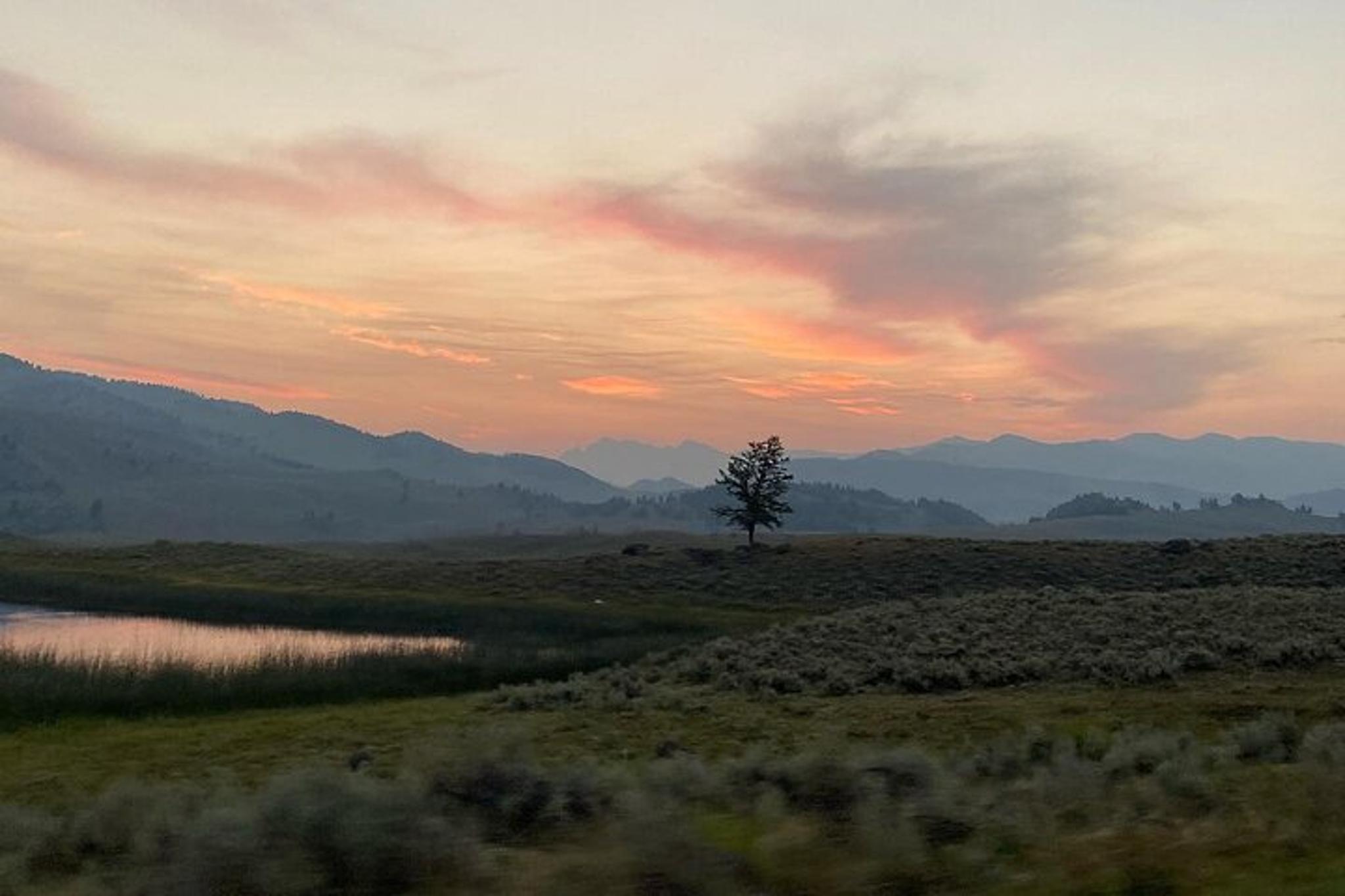 Yellowstone Wildlife Encounter at Sunset - Image 2