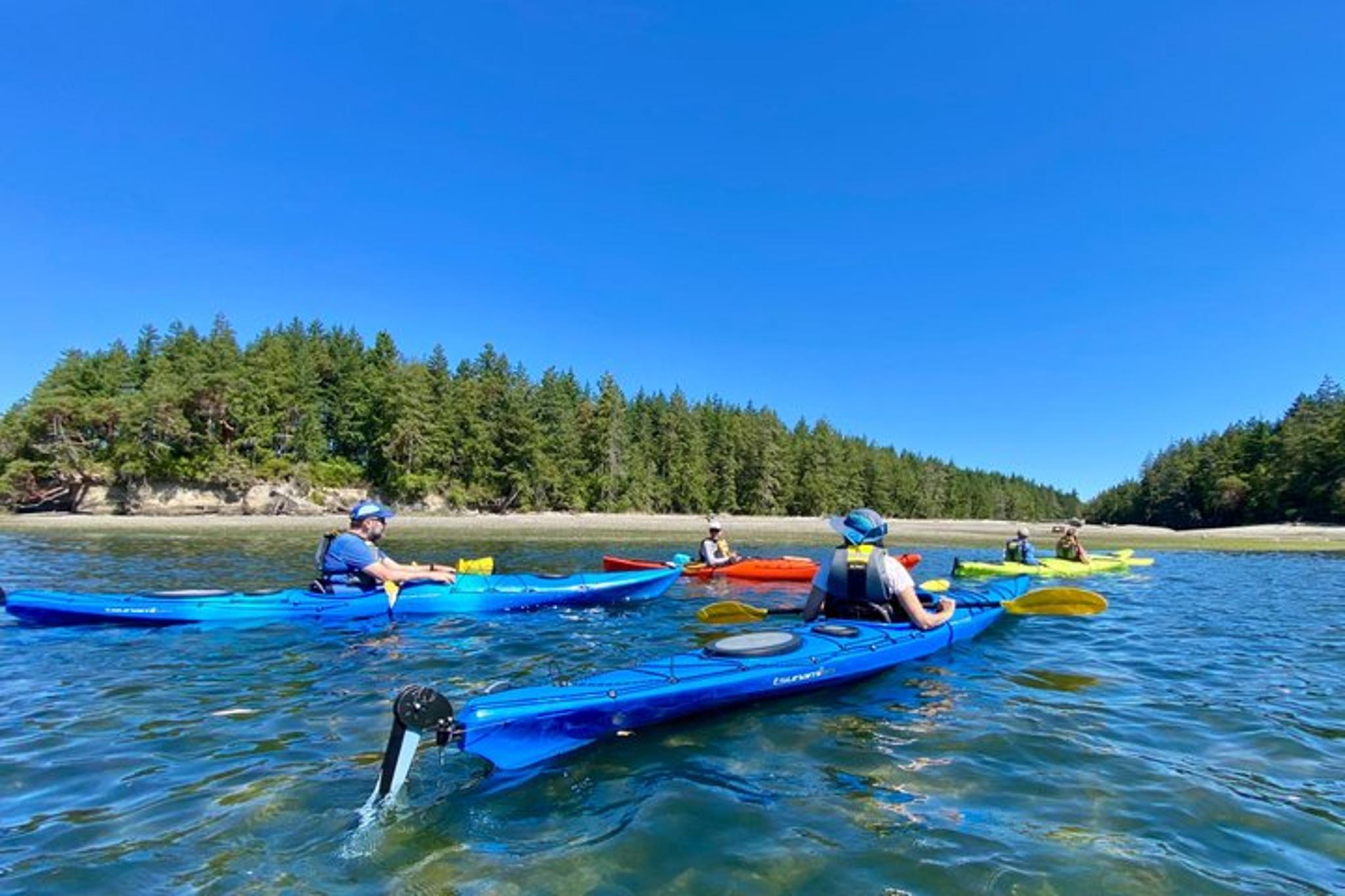 Olympia Kayak Tour to Hope Island State Park - Image 2