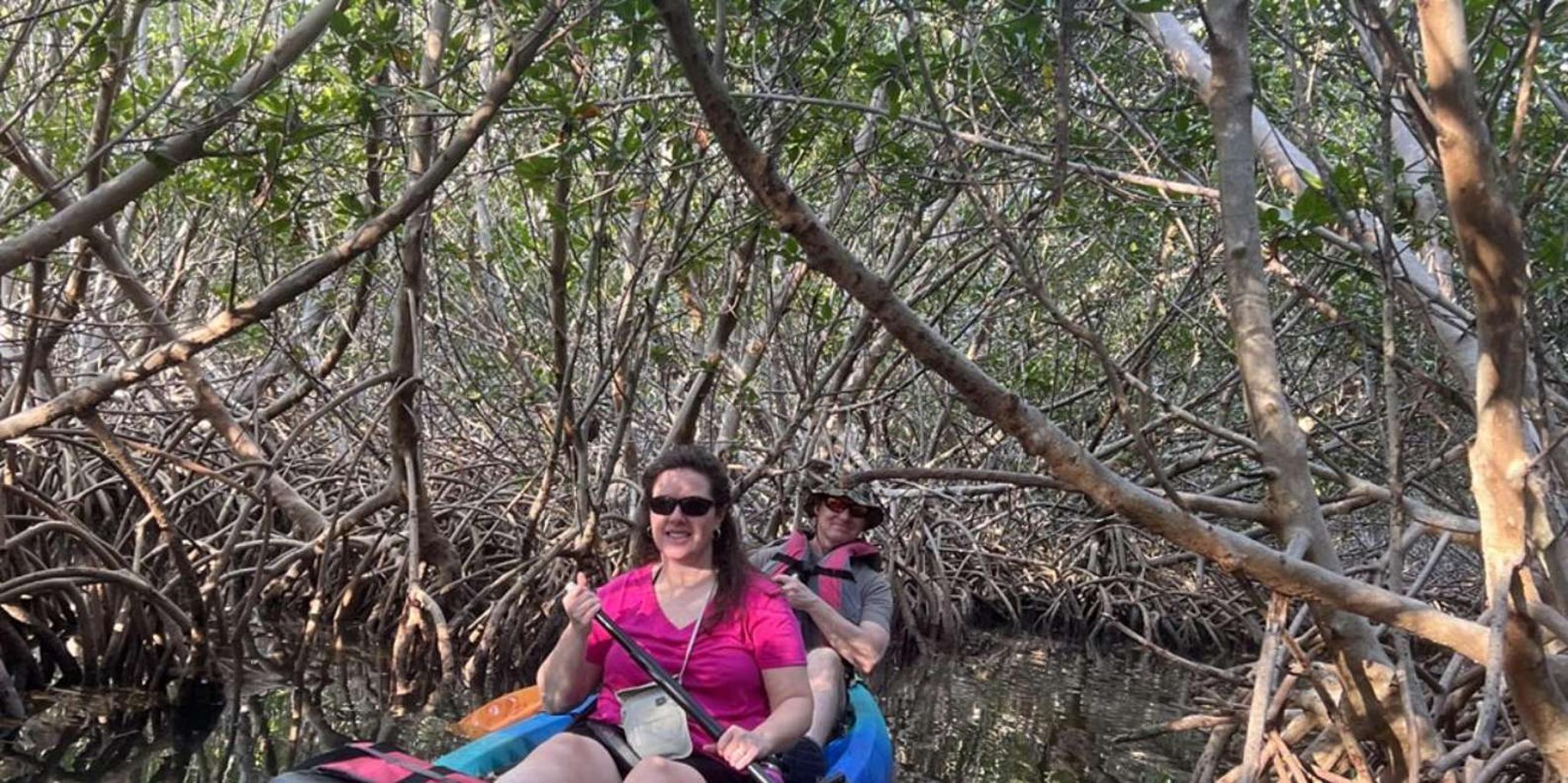 Key West Mangrove Kayak Tour 3 hr - Image 2