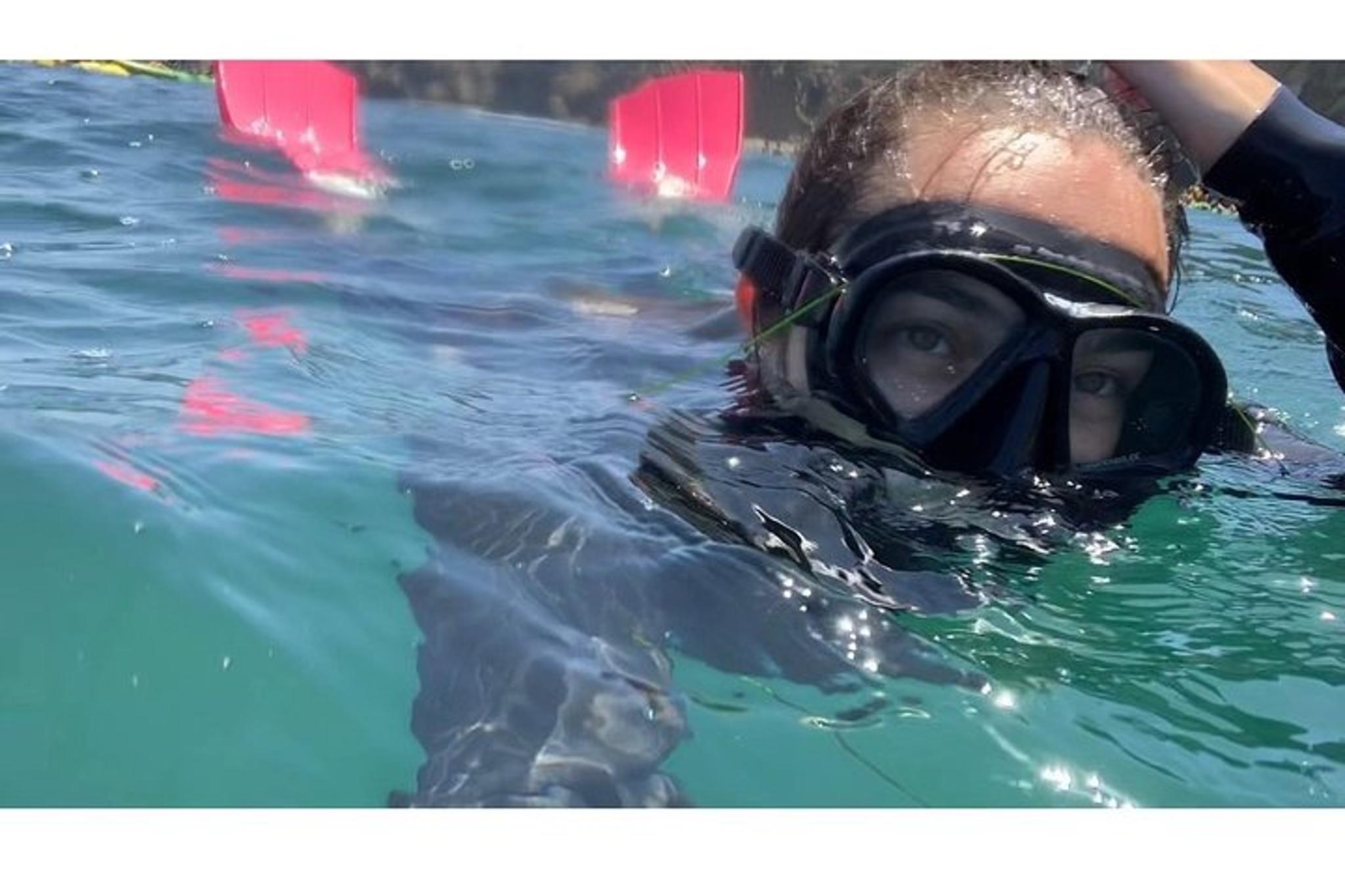 La Jolla Snorkeling Adventure 75 Min - Image 6