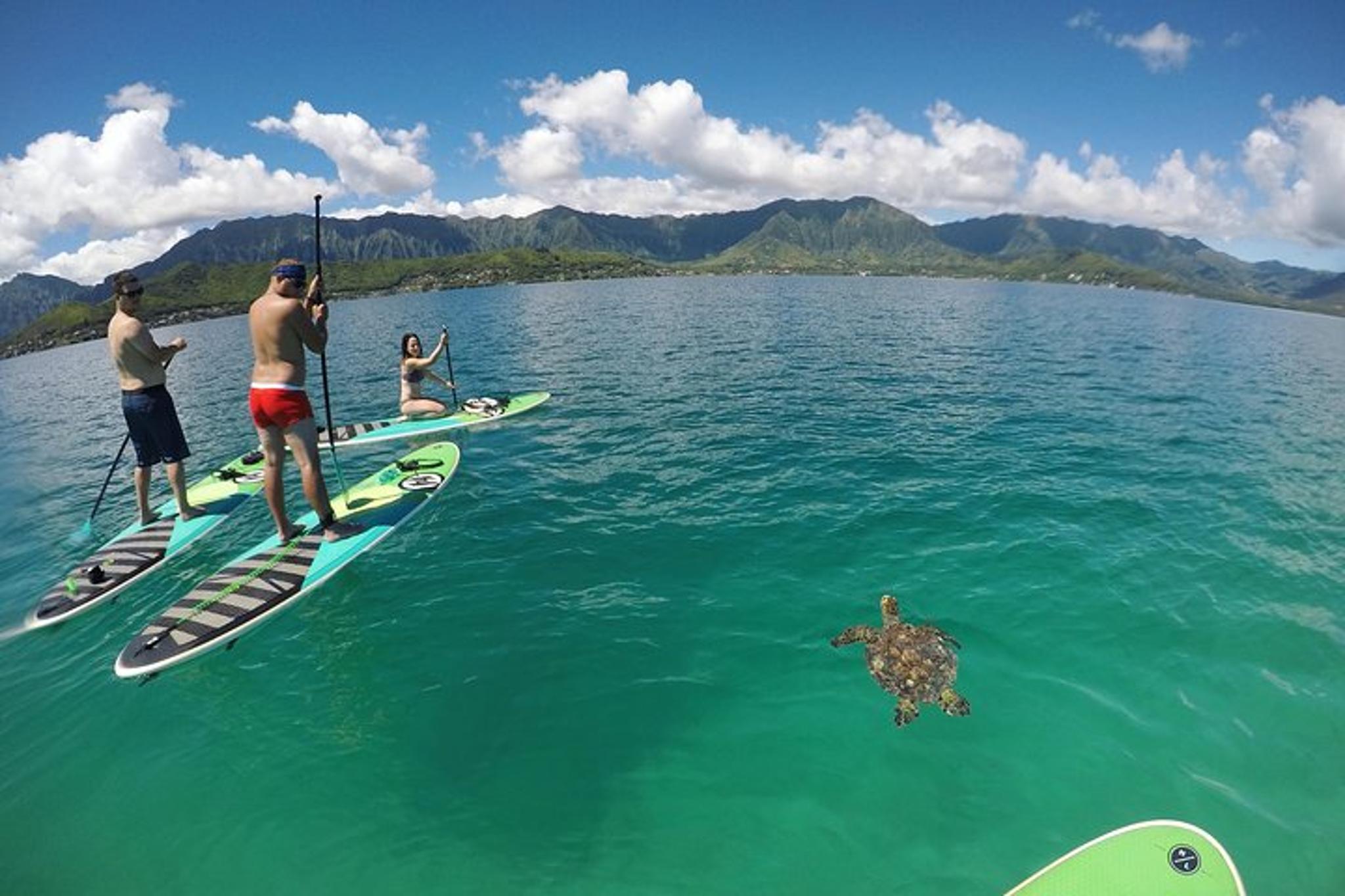 Oahu Adventure Tour Full Day - Image 5