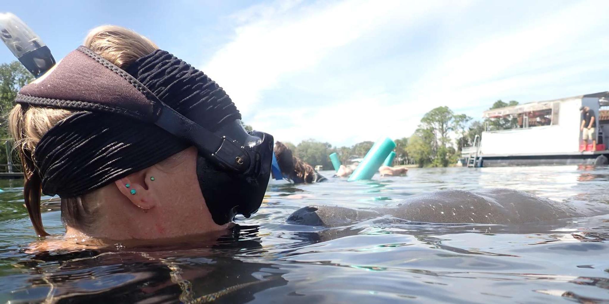 Crystal River Manatee Snorkeling Tour 3 hr - Image 2