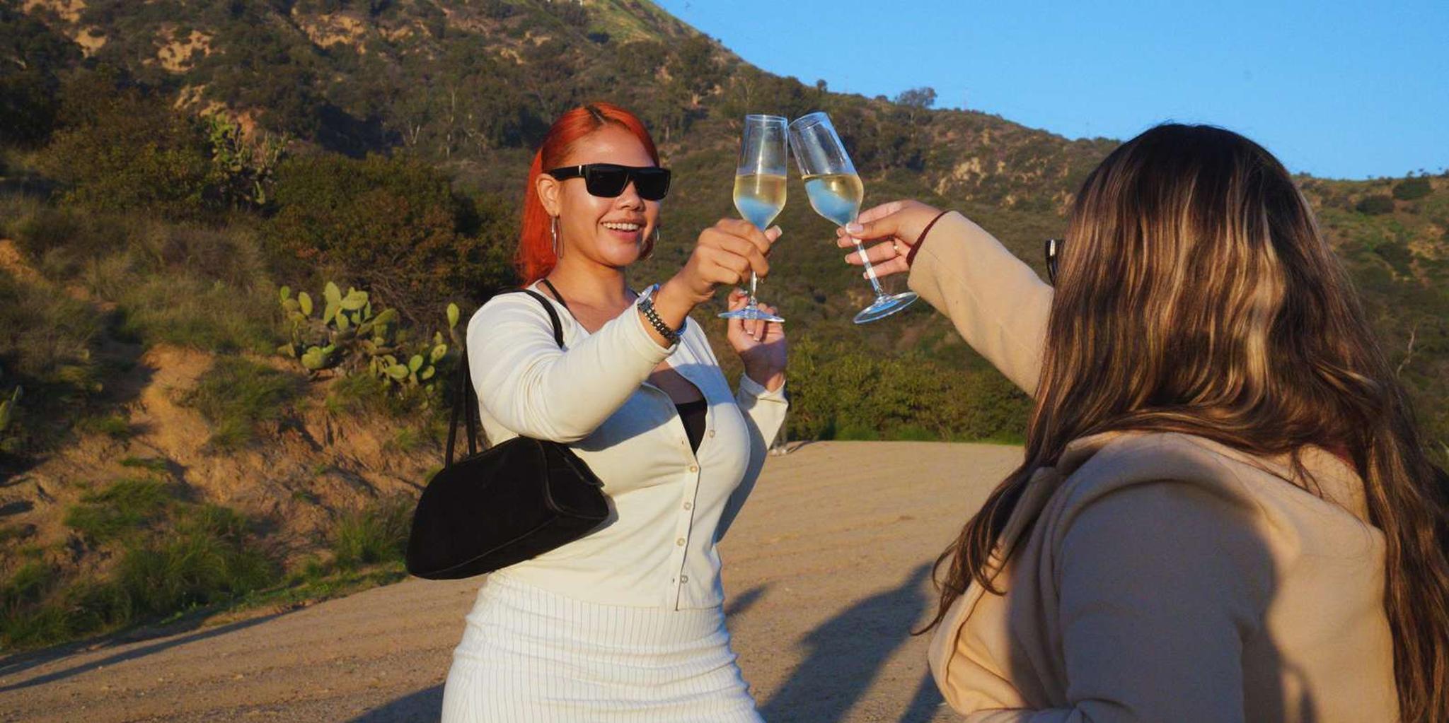 Los Angeles Private SUV Tour - Image 1