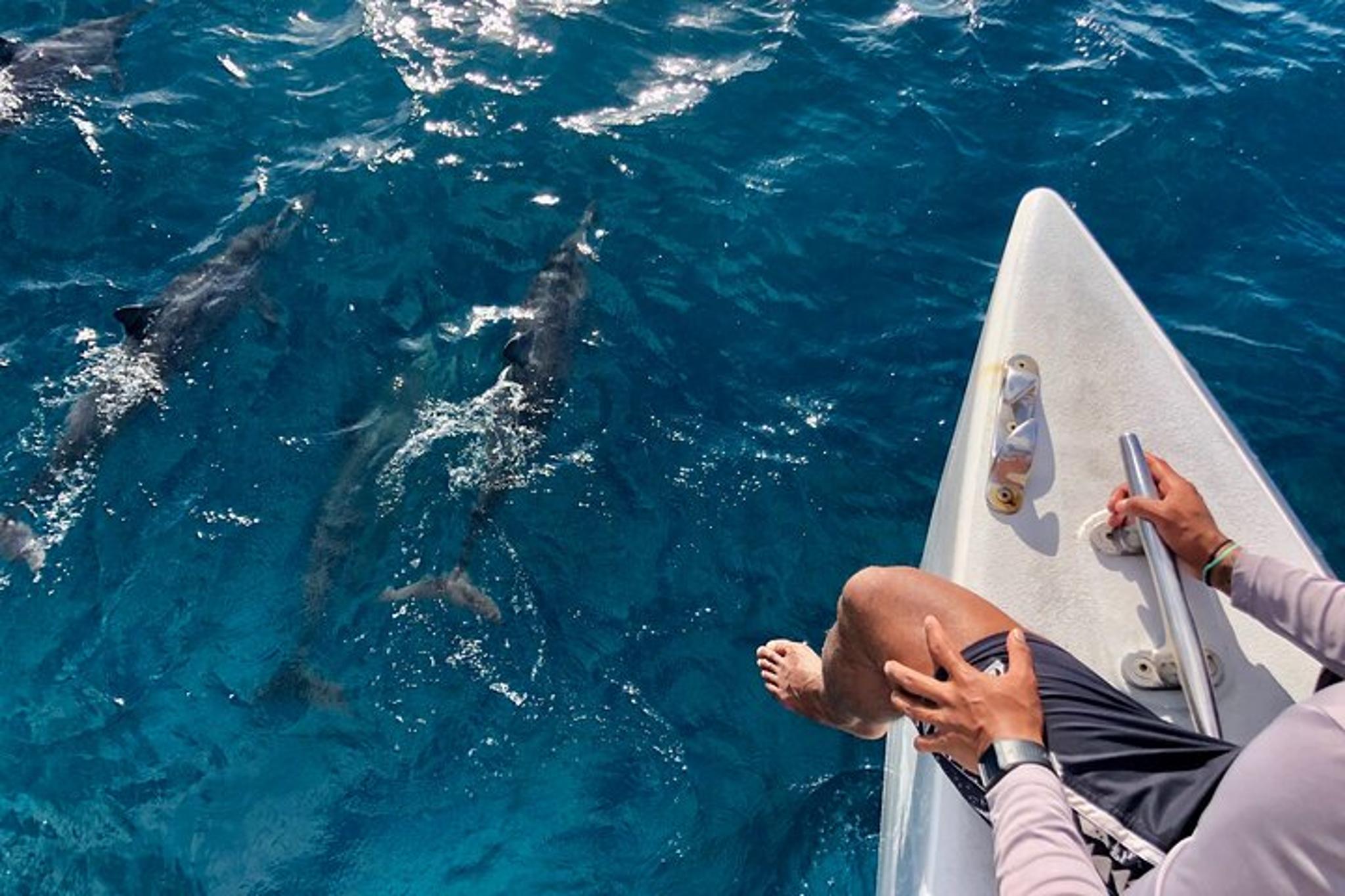 Oahu Explorer Pass: Waikiki Cruise - Image 6