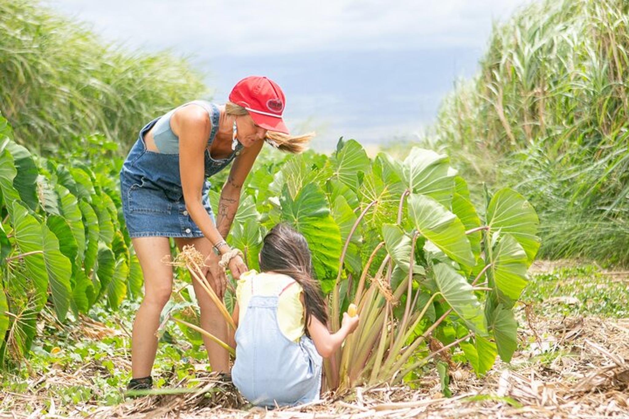 Maui Farm Tour - Image 4