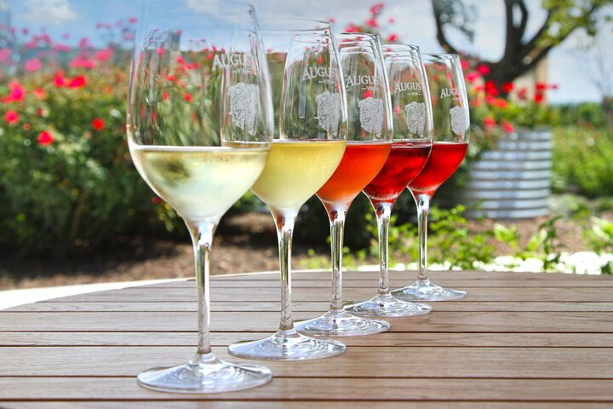 Santa Barbara Walking Food & Wine Tour - Image 2