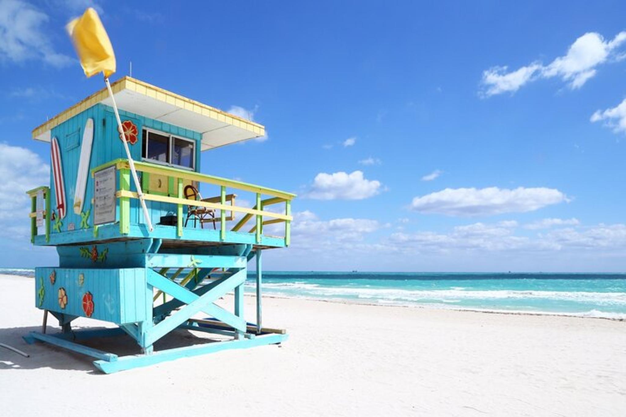 Miami Shore Excursion: Downtown, Lauderdale, and Beaches - Image 3