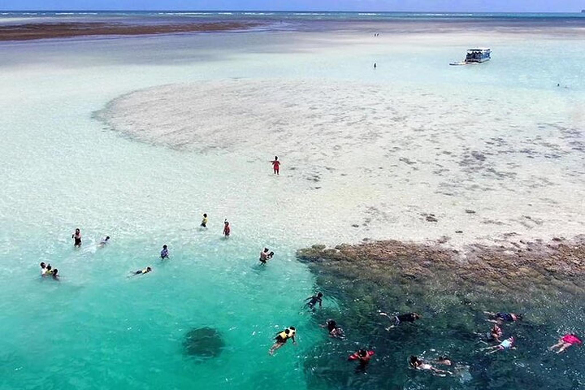 Kaneohe Sandbar Snorkeling Tour - Image 1