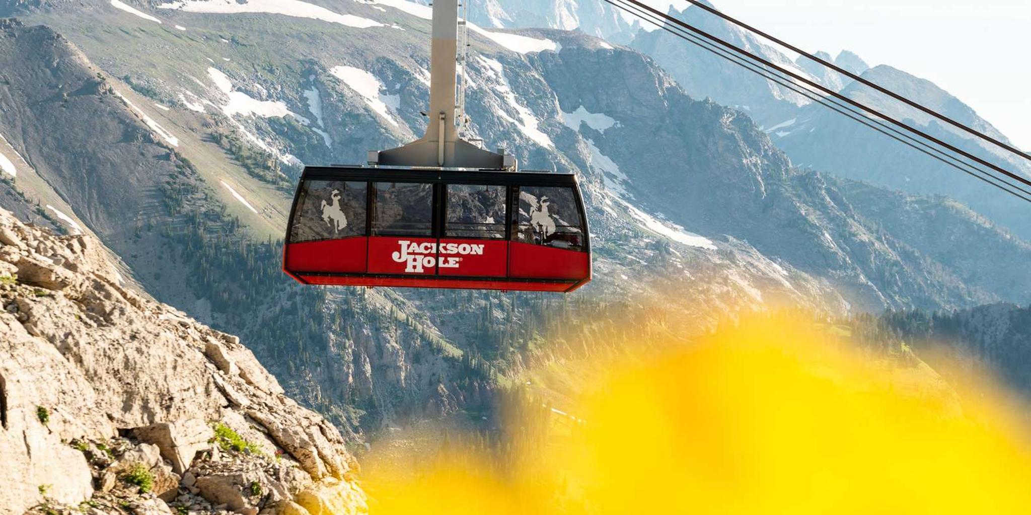 Jackson Hole Aerial Tram and Gondolas Sightseeing