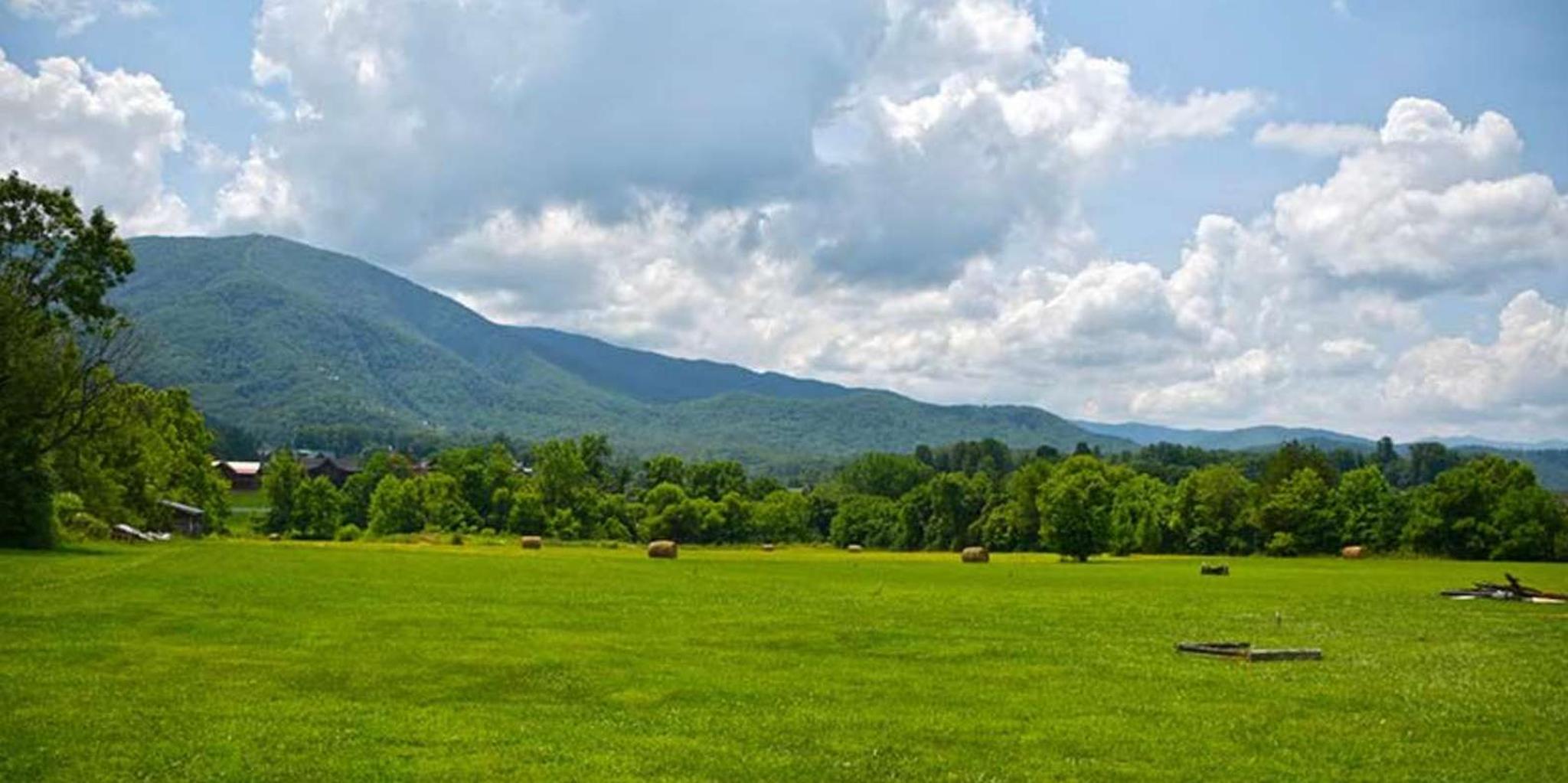 Pigeon Forge Cades Cove Tour in a Panorama Van - Image 6