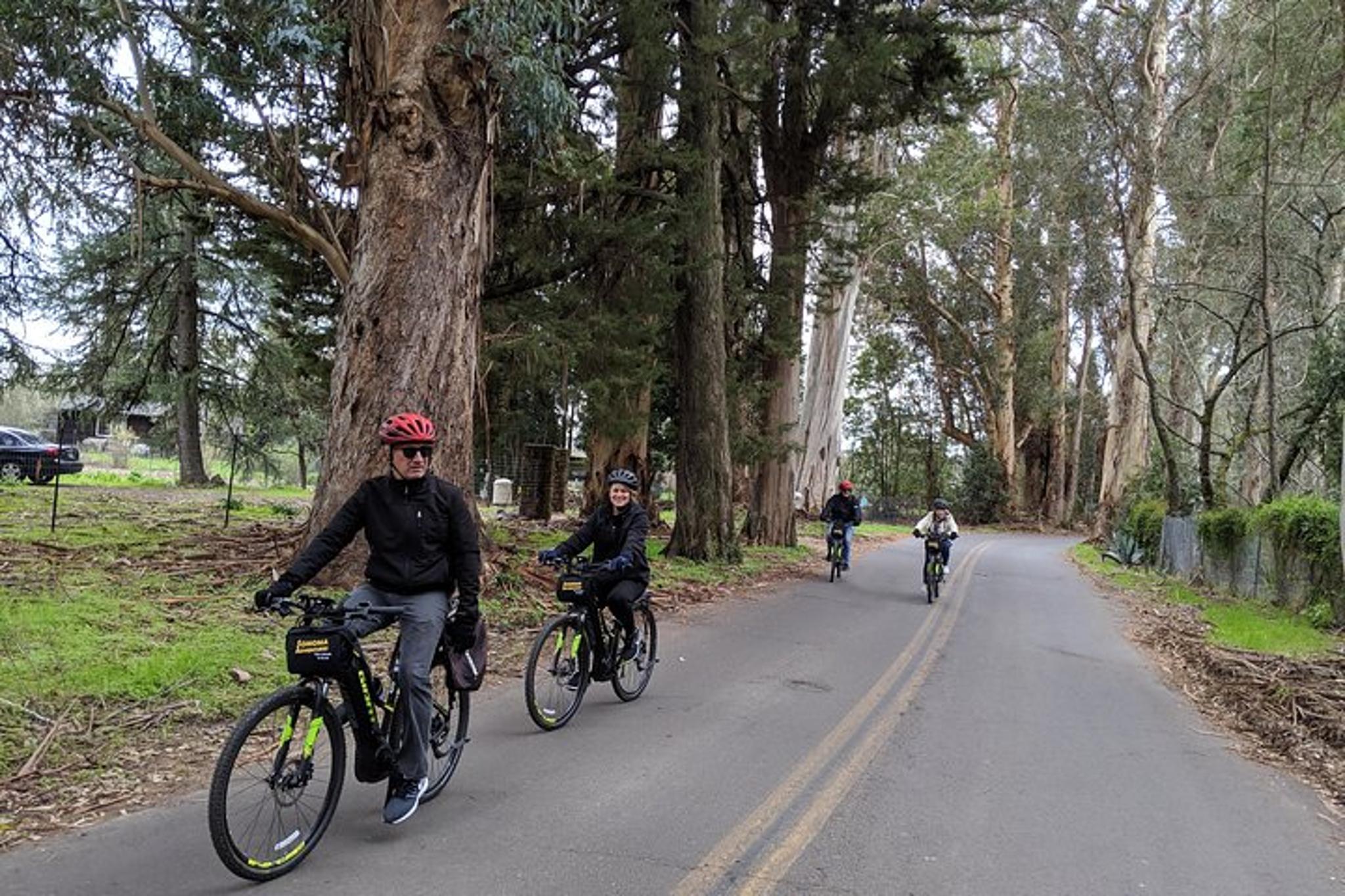 Sonoma Food and Wine E-Bike Tour - Image 3