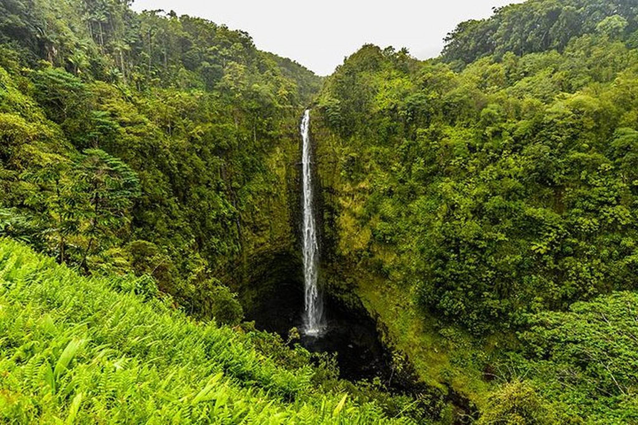 Maui Waterfall Hiking Tour in Private Jeep - Image 3