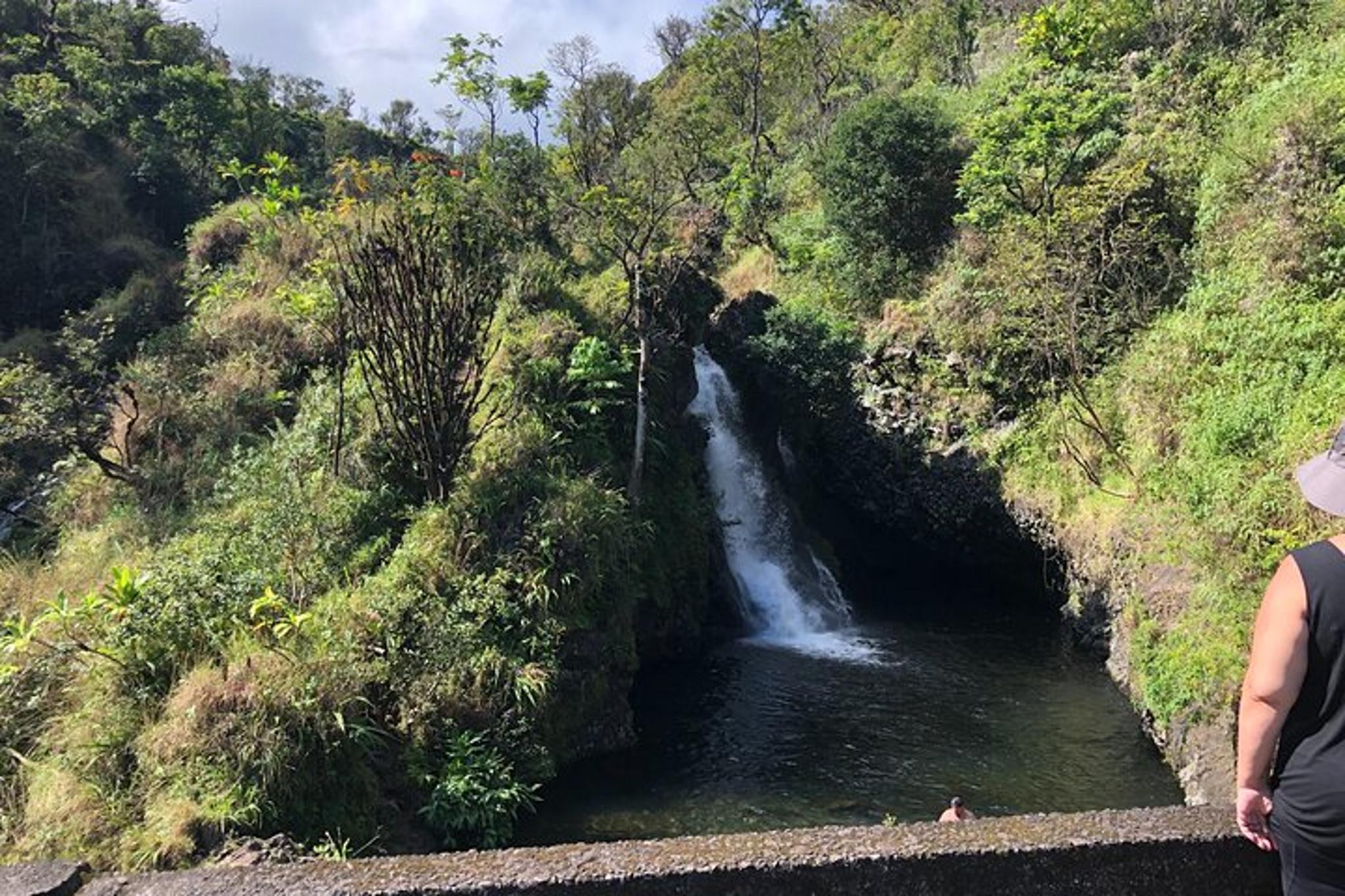 Maui Road to Hana Private Tour - Image 4