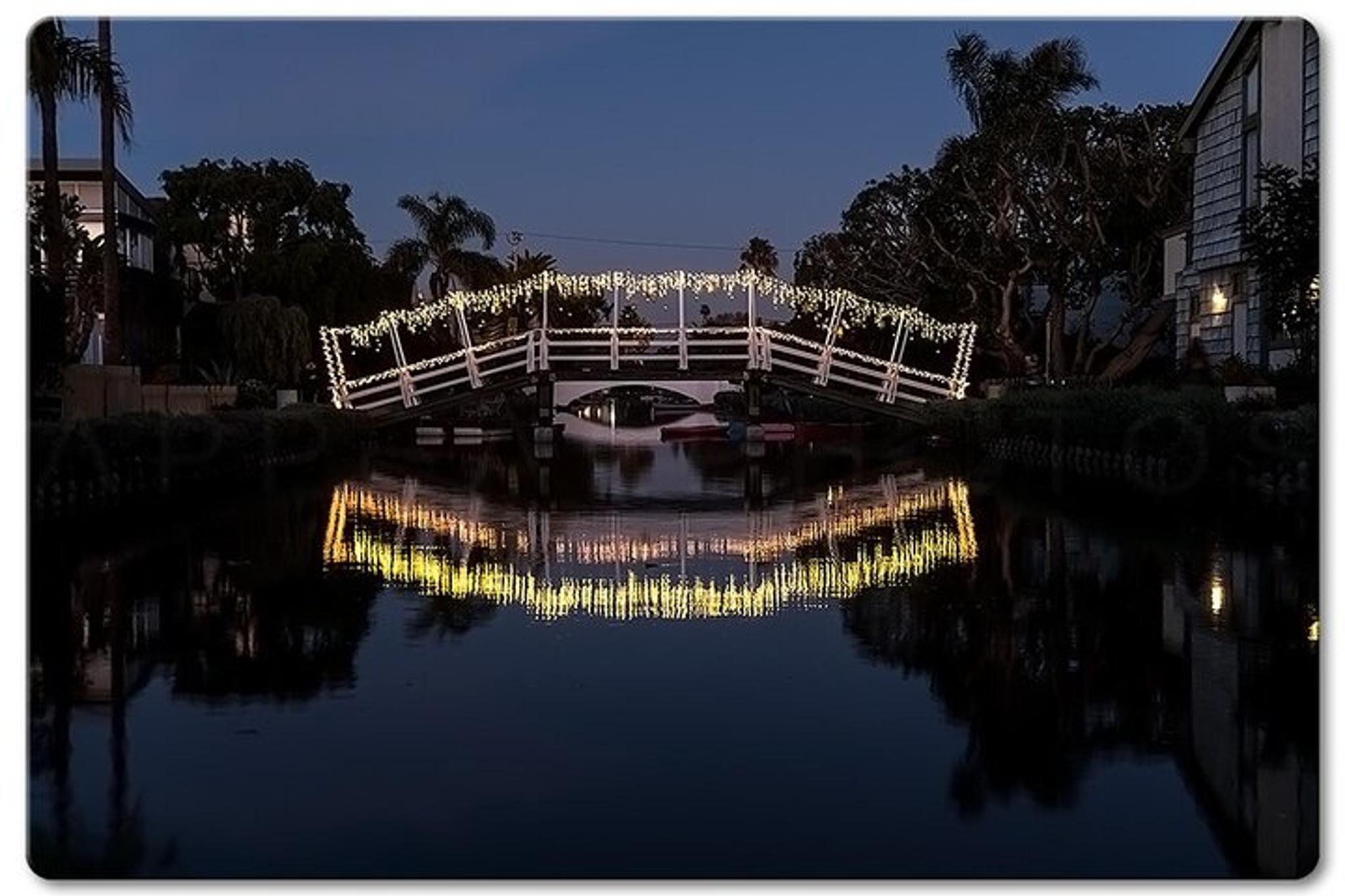 Venice Photographic Beach Walking Tour - Image 6