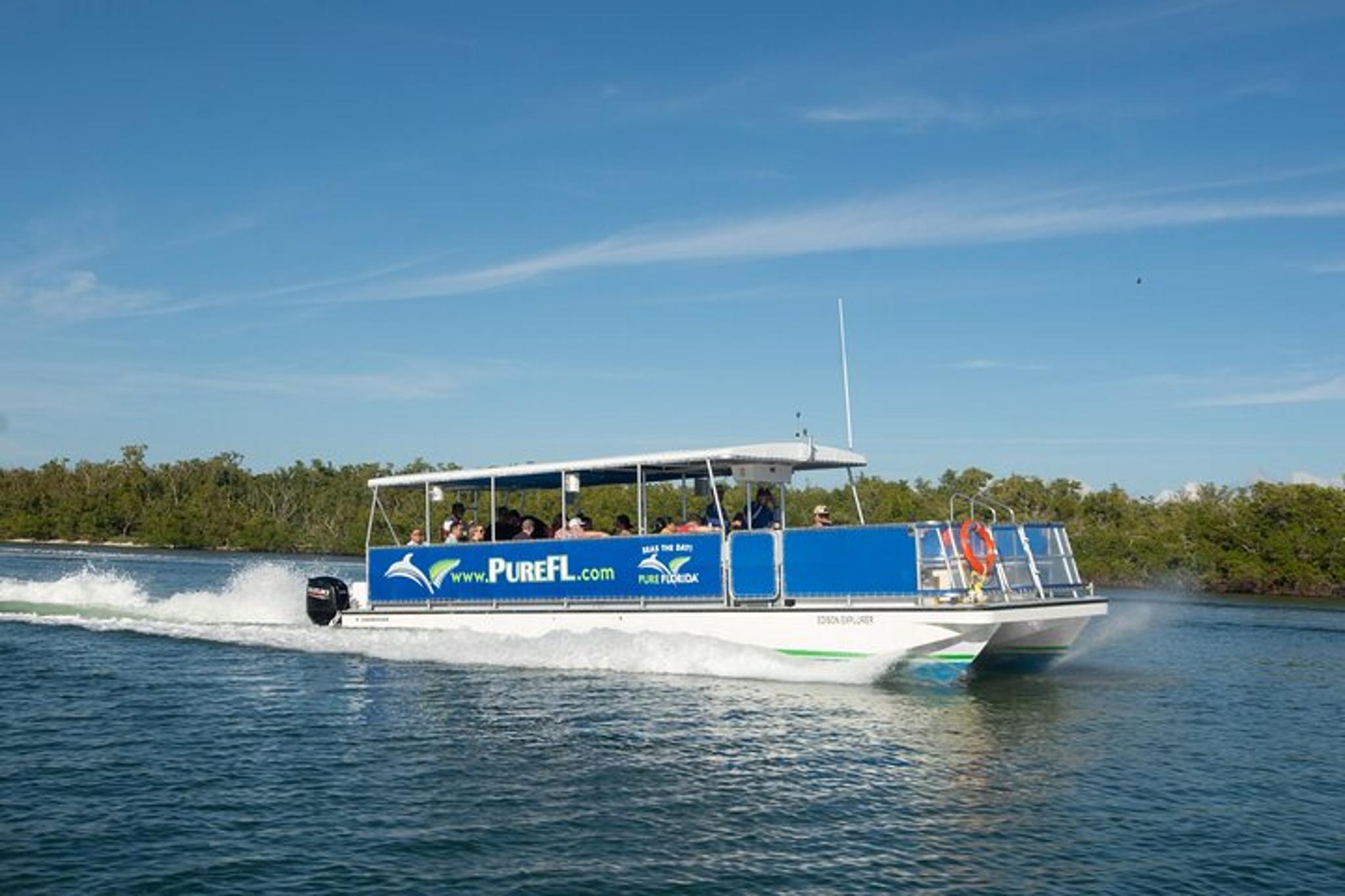 Naples Dolphin Watch and Shelling Cruise - Image 5