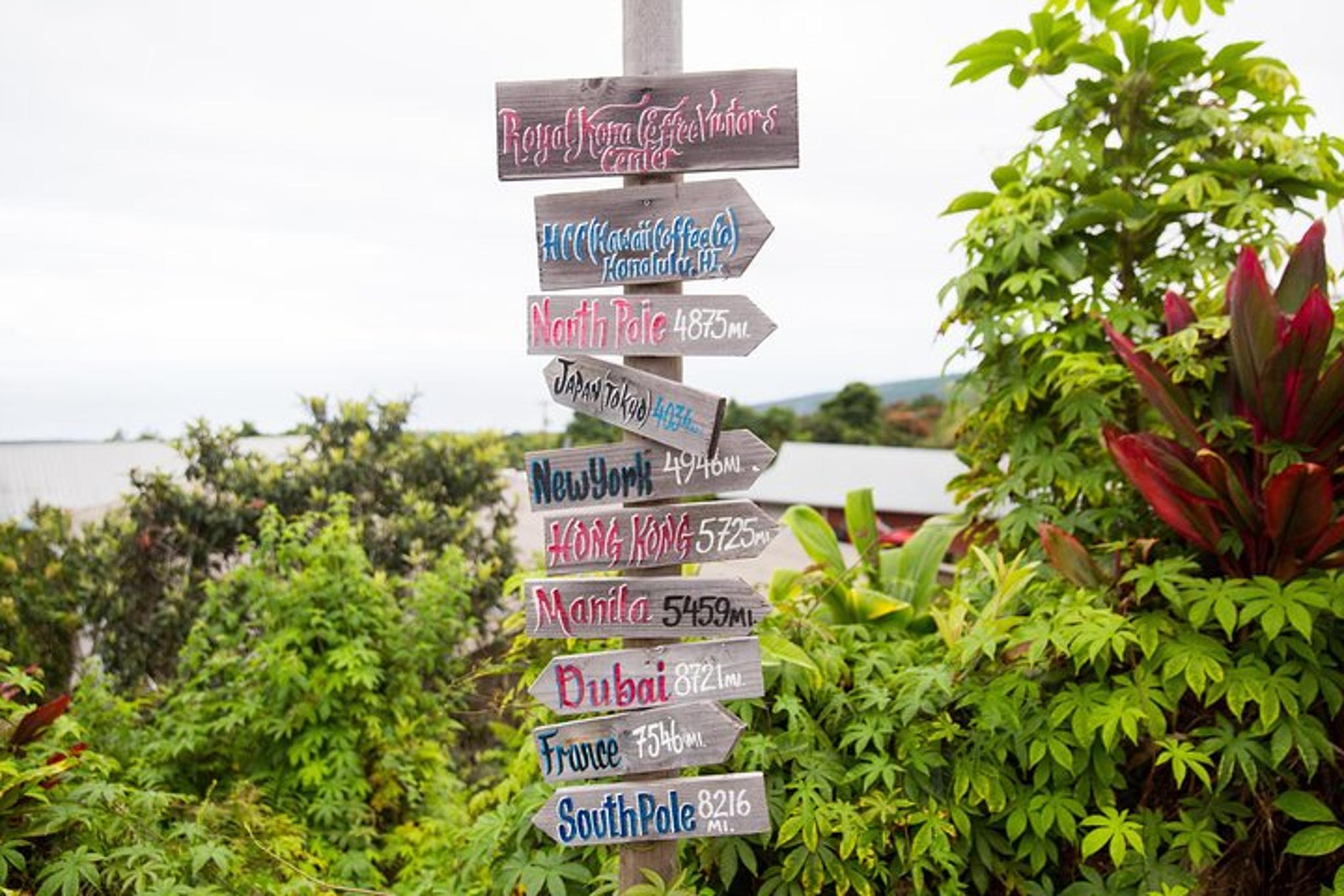 Hilo Volcano Adventure Day Trip from Oahu - Image 3