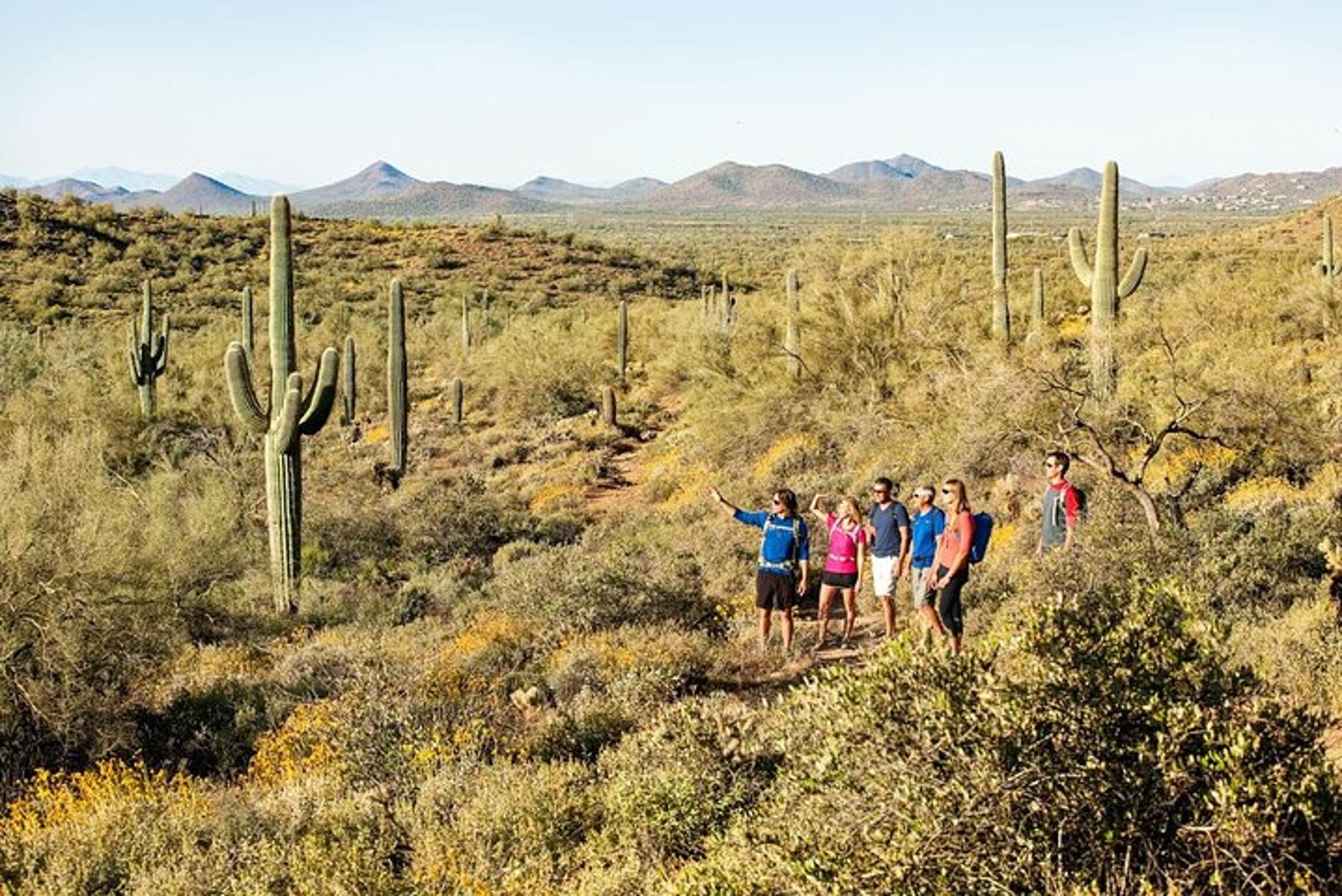 Scottsdale Sonoran Desert Guided Hike 2 hr - Image 3