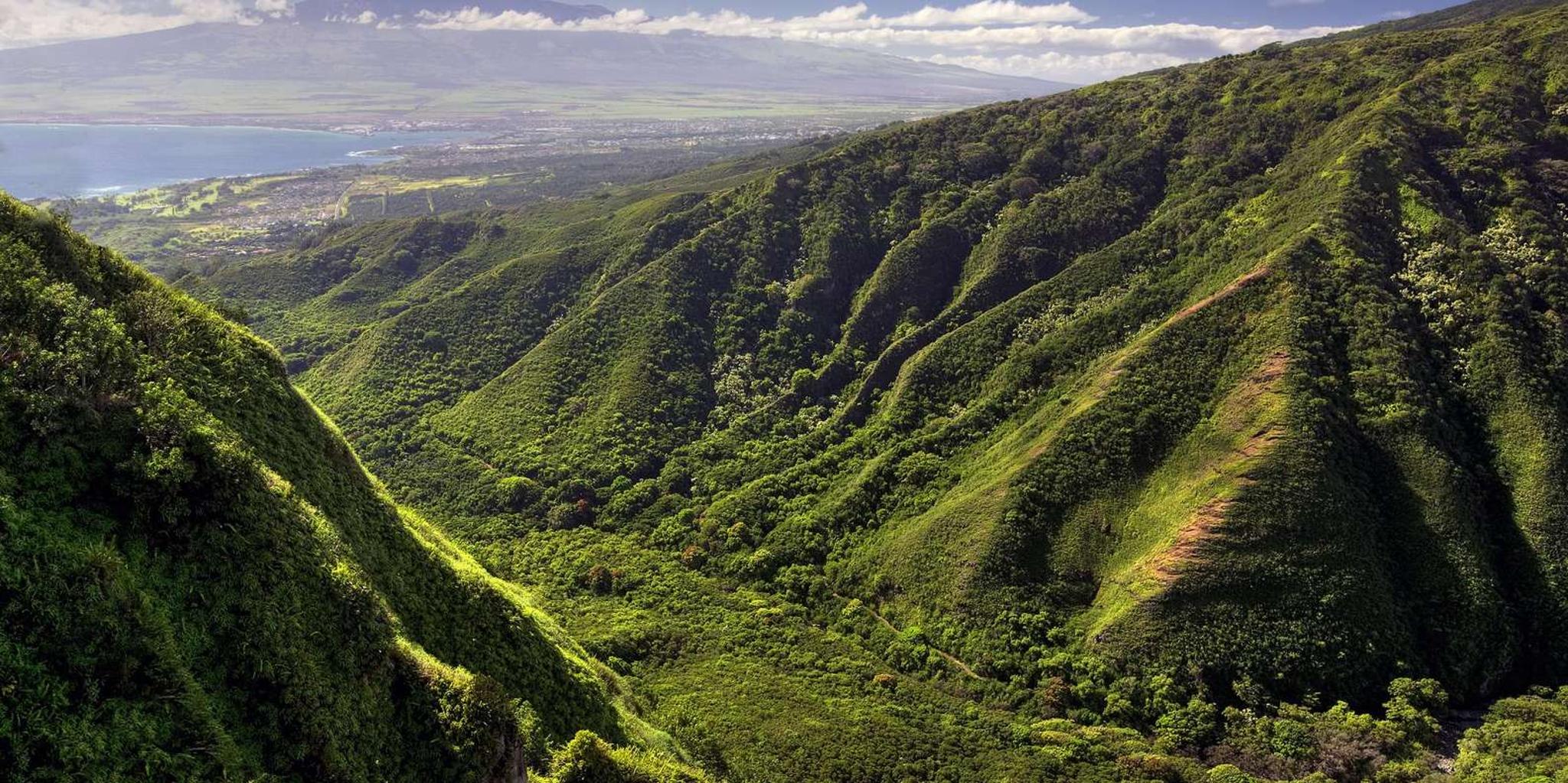 Maui Waterfalls Helicopter Tour - Image 3