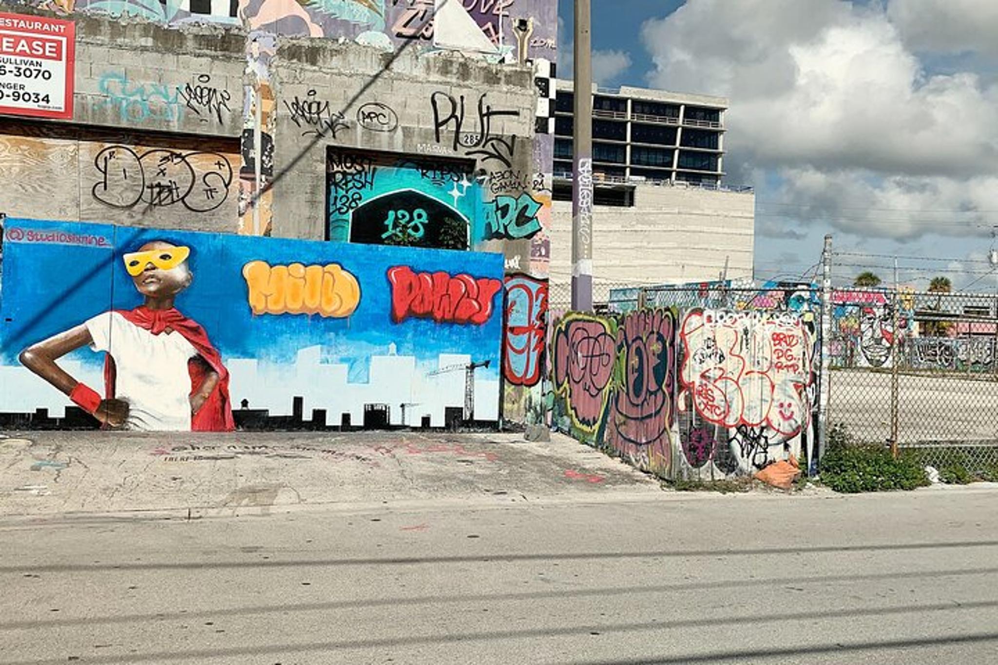 Miami Street Art Tour with Local Artist - Image 6