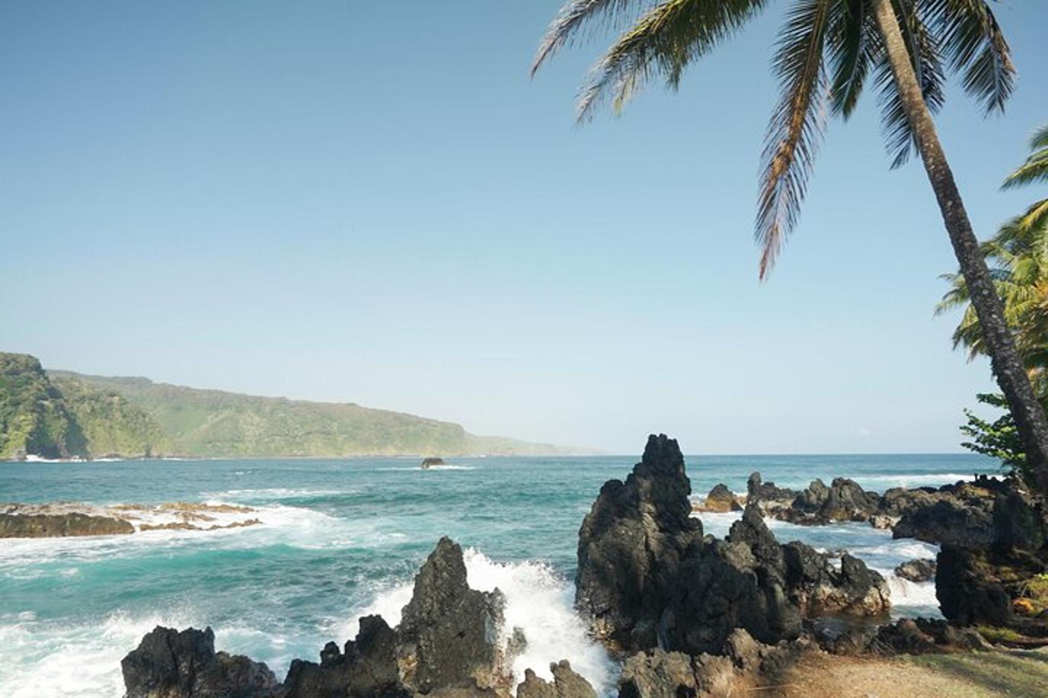 Maui Road to Hana Rainforest & Waterfall Tour - Image 4
