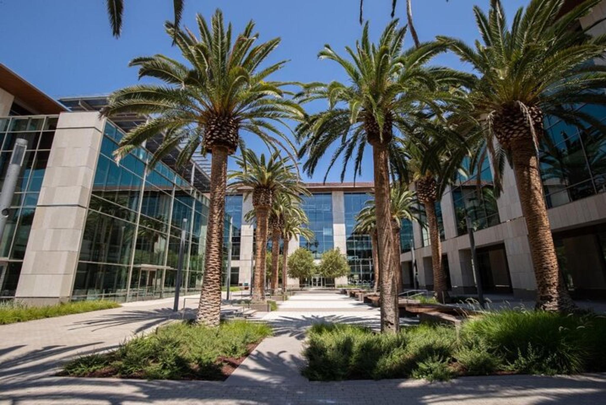 Santa Clara University Walking Tour - Image 2