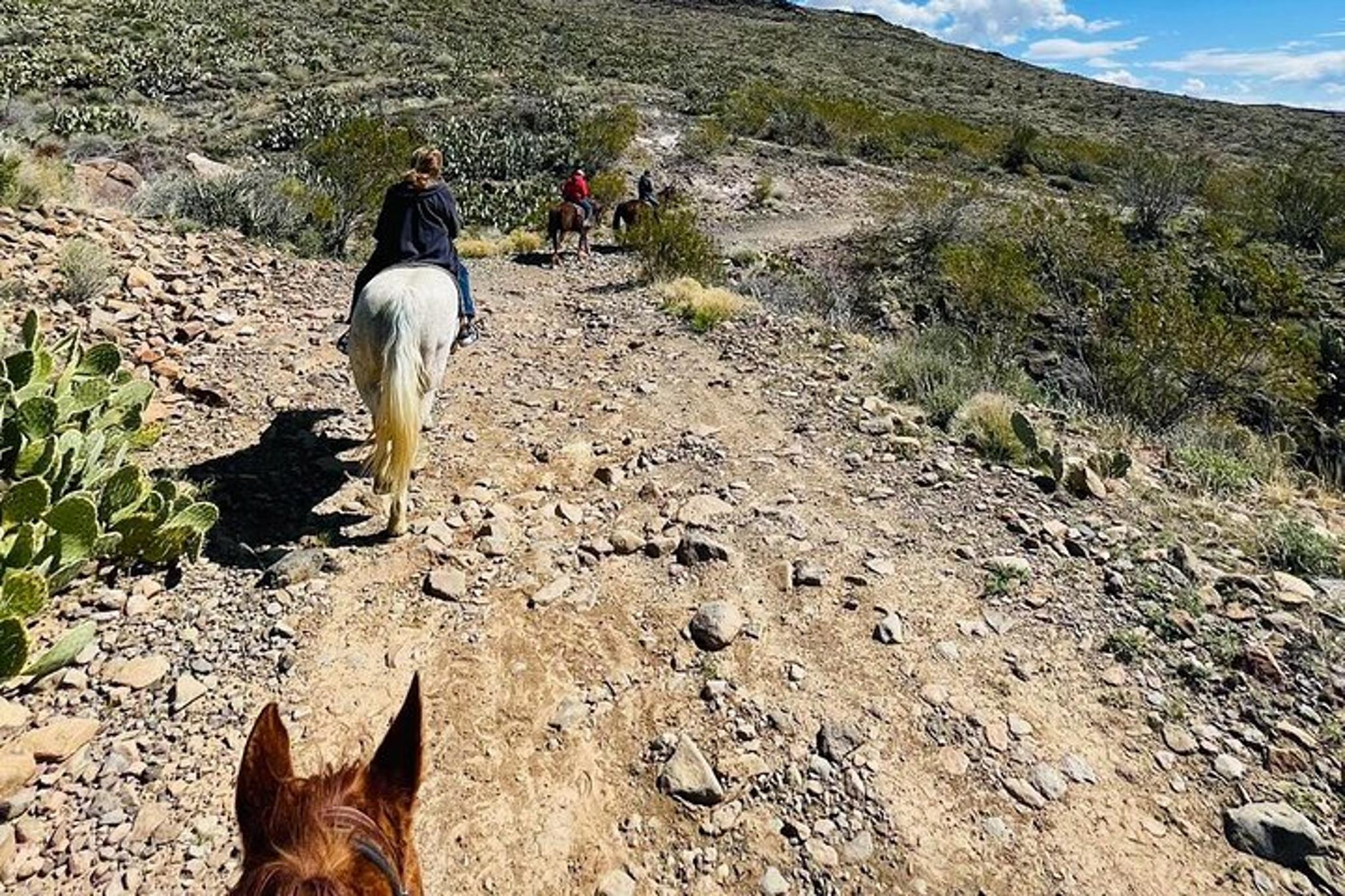 Laughlin Horseback Riding Tour with Scenic Views - Image 3