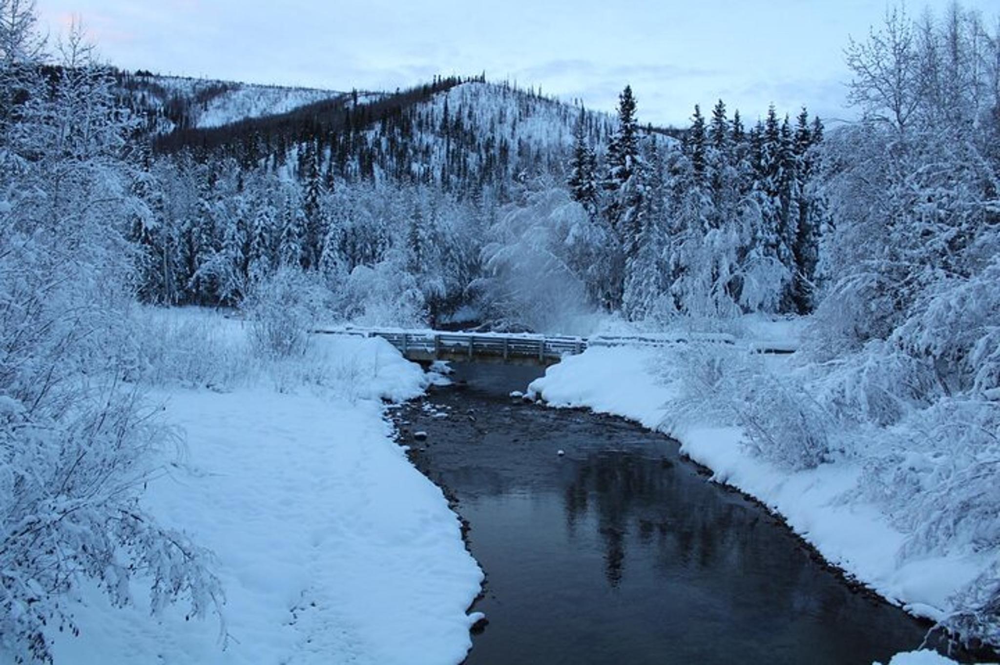 Chena Hot Springs Tour - Image 6