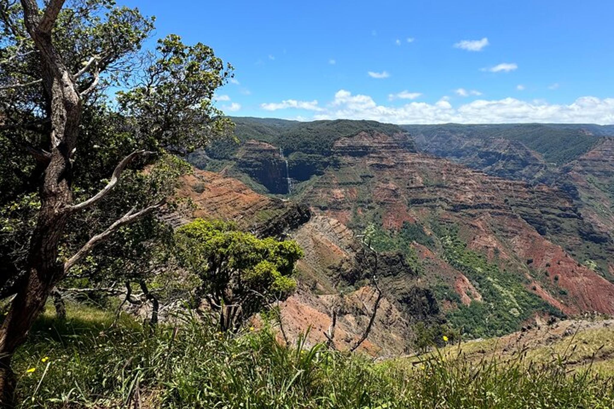 Kauai Island Tour: Waimea Canyon and Kalalau Lookout - Image 4