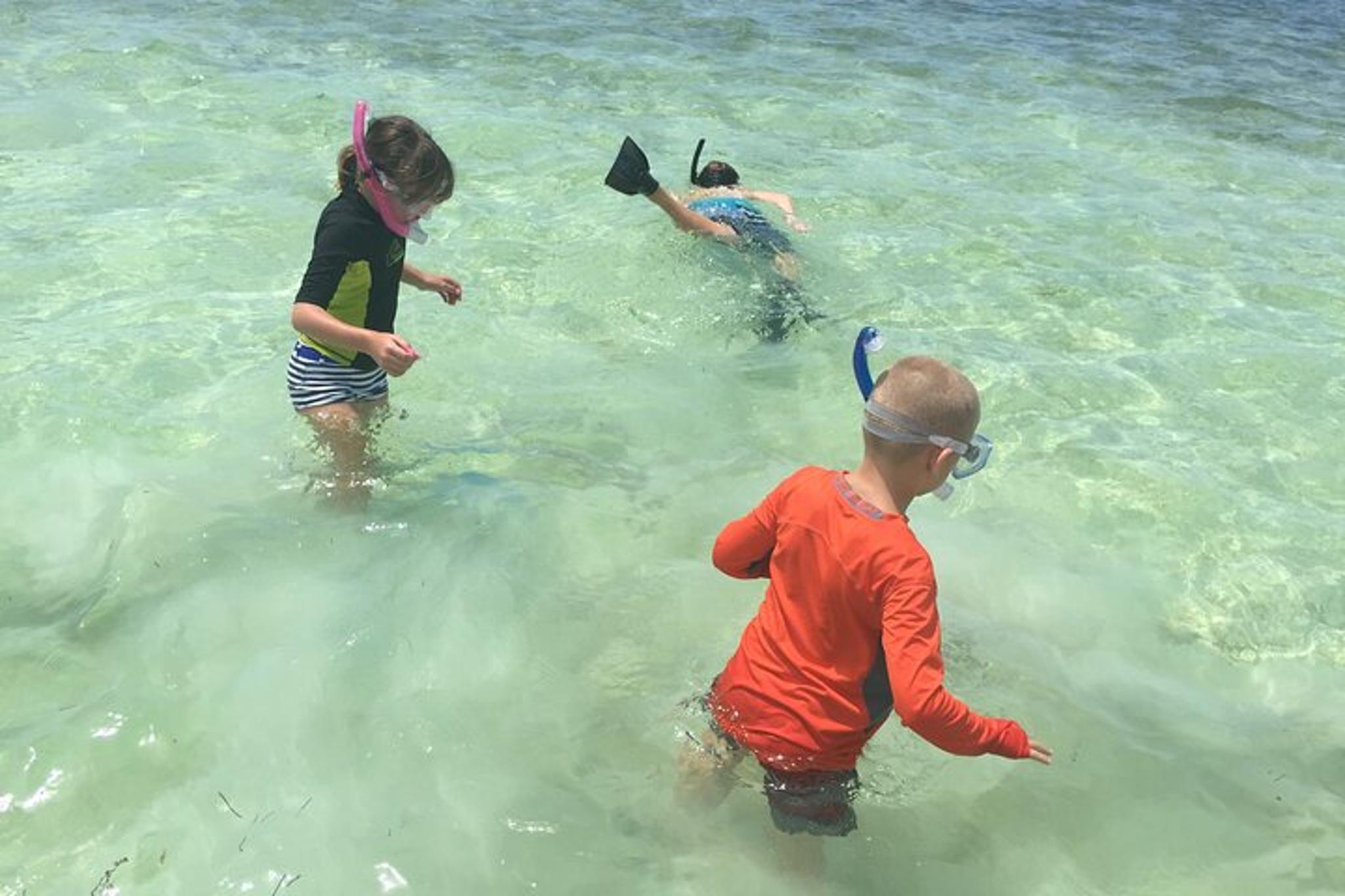 Key Largo Fish & Snorkel Tour 4 hr - Image 5