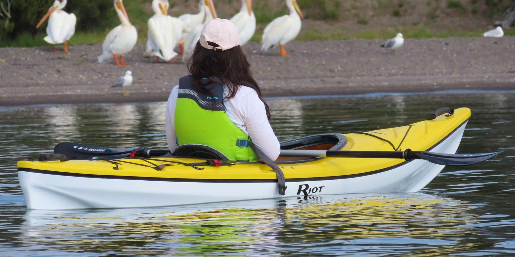 Yellowstone Wildlife and Kayak Tour - Image 3