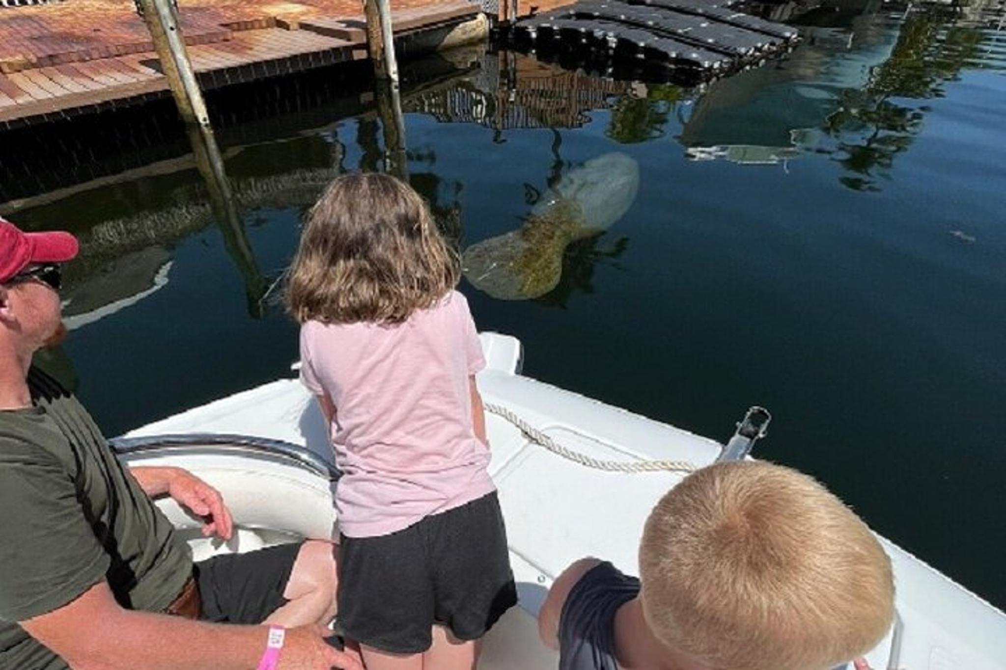 Key Largo Boat Eco Tour - Image 5