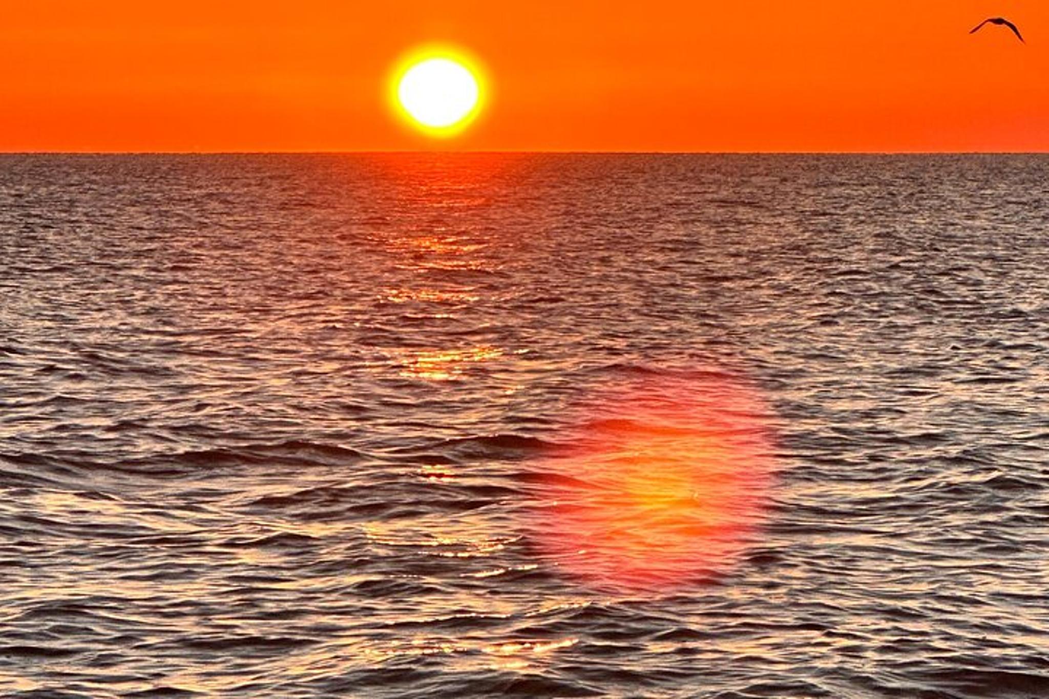 Florida Sunrise Cruise - Image 2